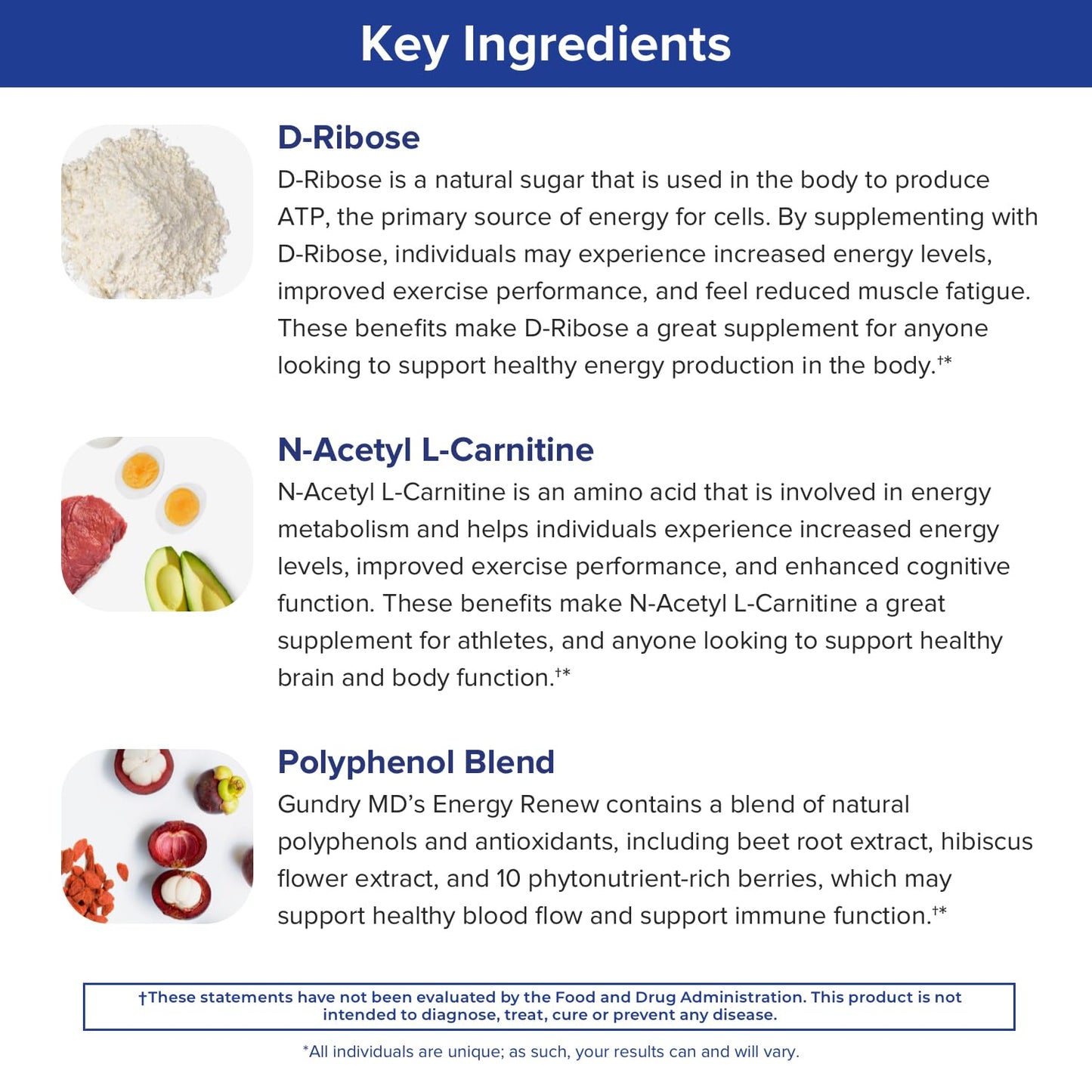 Gundry MD Energy Renew Powder 7.41 Ounces