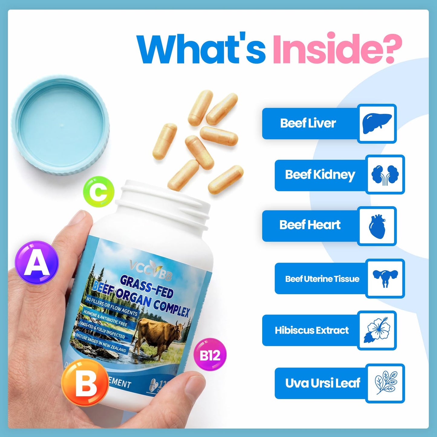 VCCVBB Beef Organ Supplements for Women, Capsules – Beef Liver, Kidney, Heart, Uterus Tissue, Hormonal Balance, Immune Support – Grass-Fed, Pasture-Raised – 120 Capsules