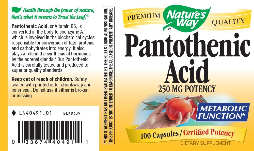 Nature's Way Pantothenic Acid 250 Milligrams Potency, 300 Capsules