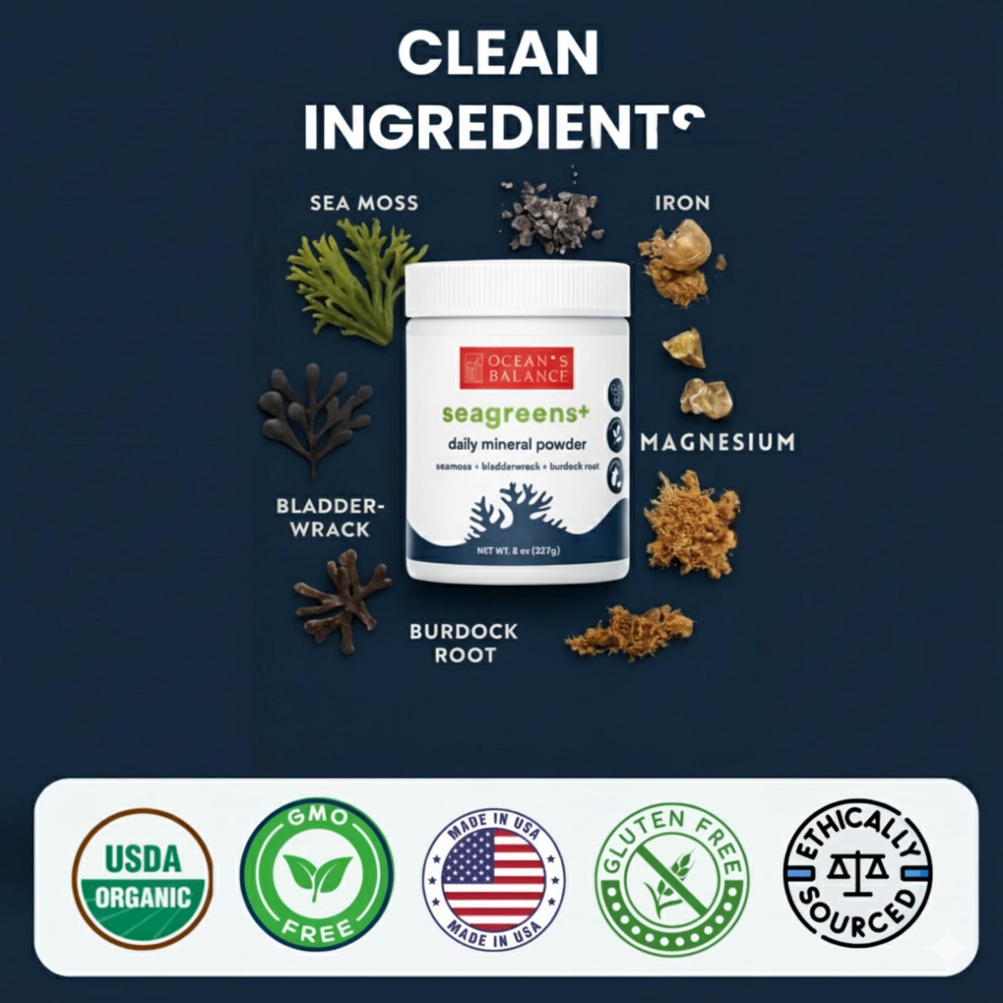 Ocean's Balance Clean Taste of Maine Seagreens+ Daily Superfood Powder 8 oz