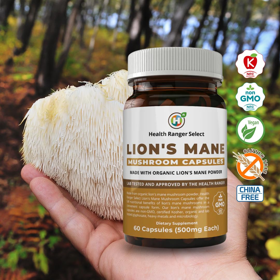 GROOVY BEE Lion's Mane Mushroom Capsules 60 Capsules