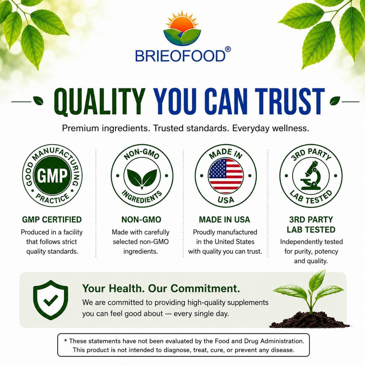 Brieofood Broccoli Sprout Extract 4:1 1000 mg Per Serving 240 Capsules