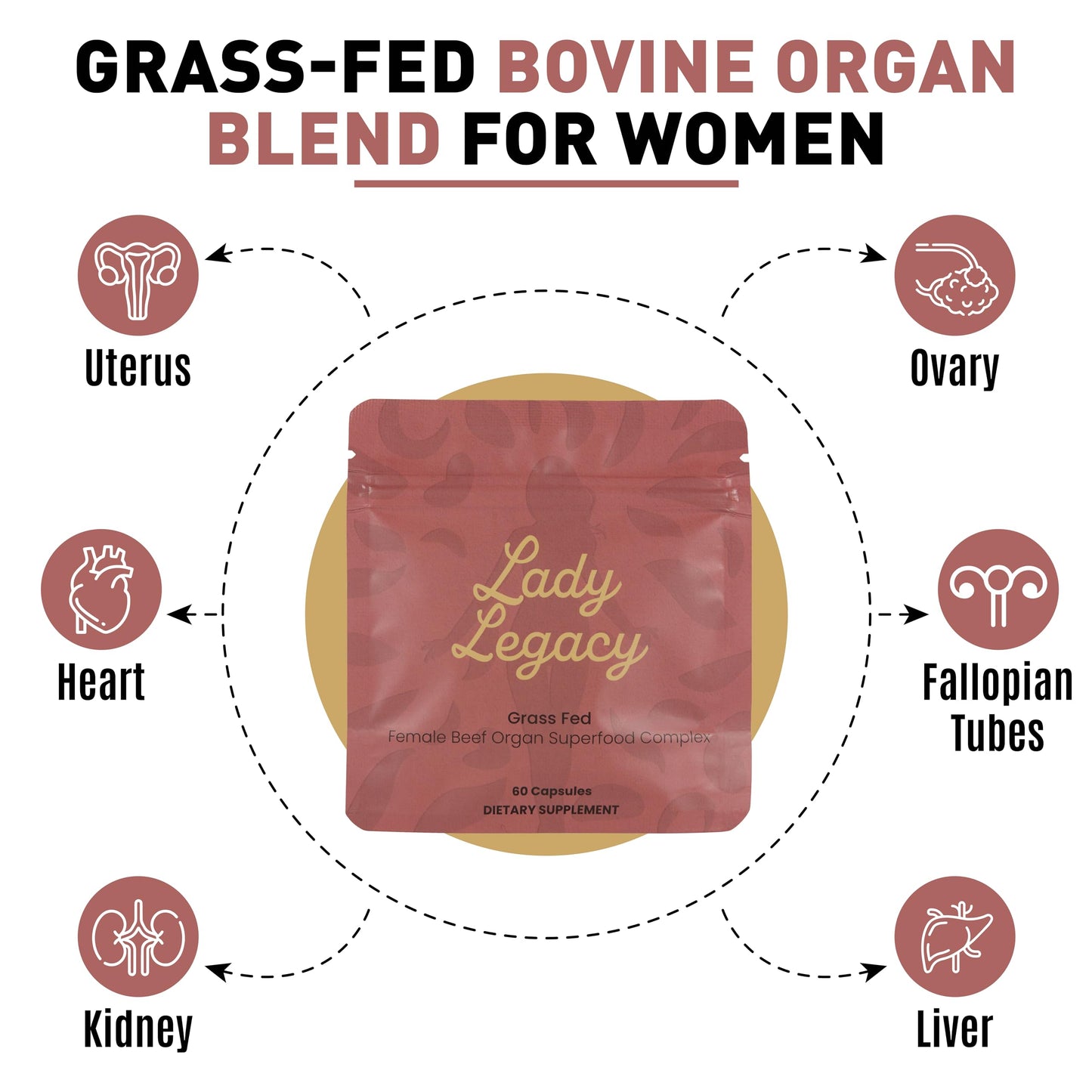 Lady Legacy Beef Organ Supplement for Women Capsules, 60 Count