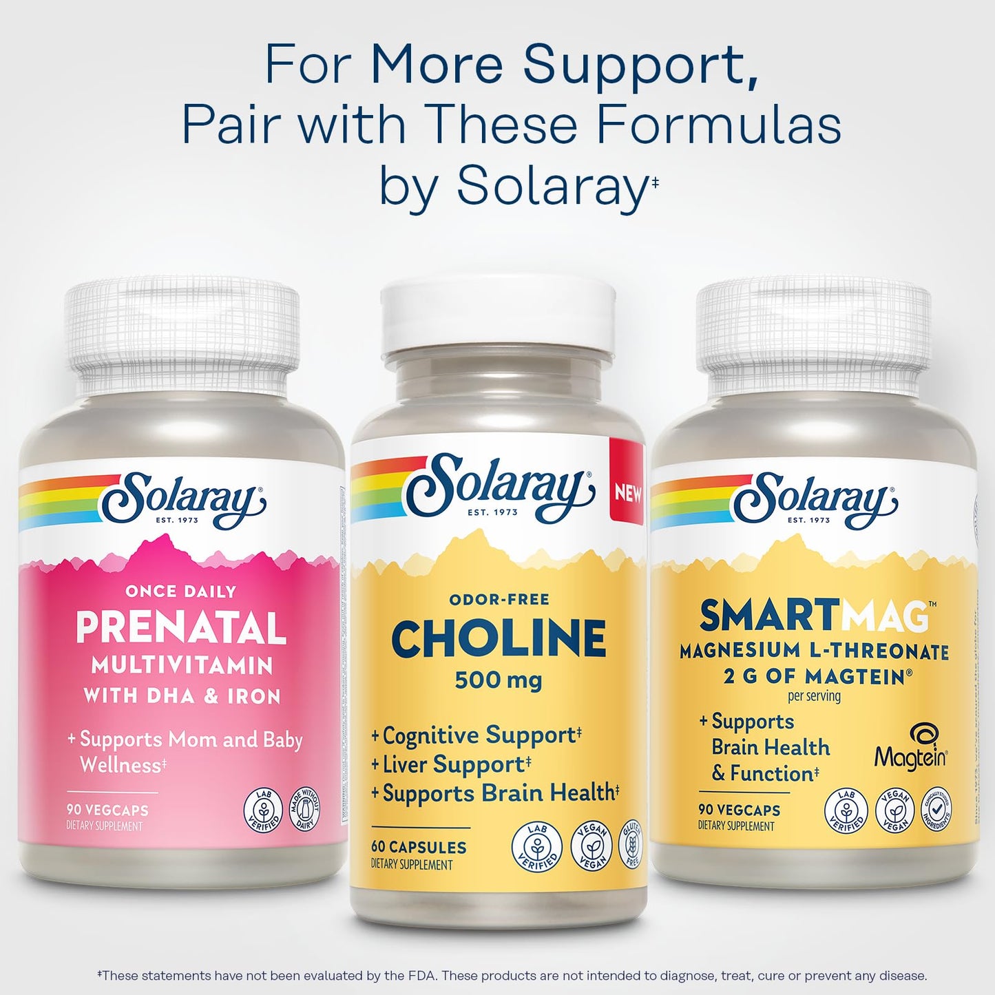 Solaray Choline 500 mg Capsule, 60 Count