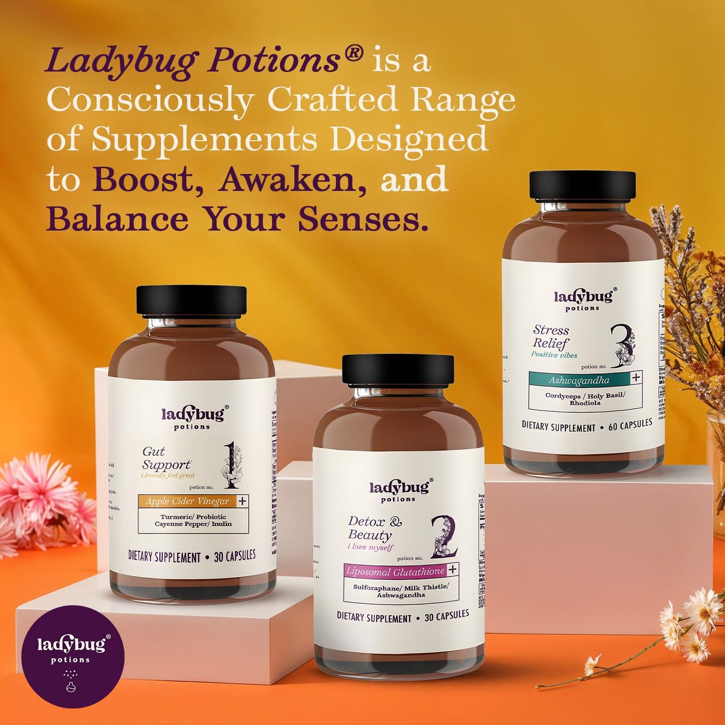 Ladybug Potions Organic Mood Pills Capsules, 1 Capsule