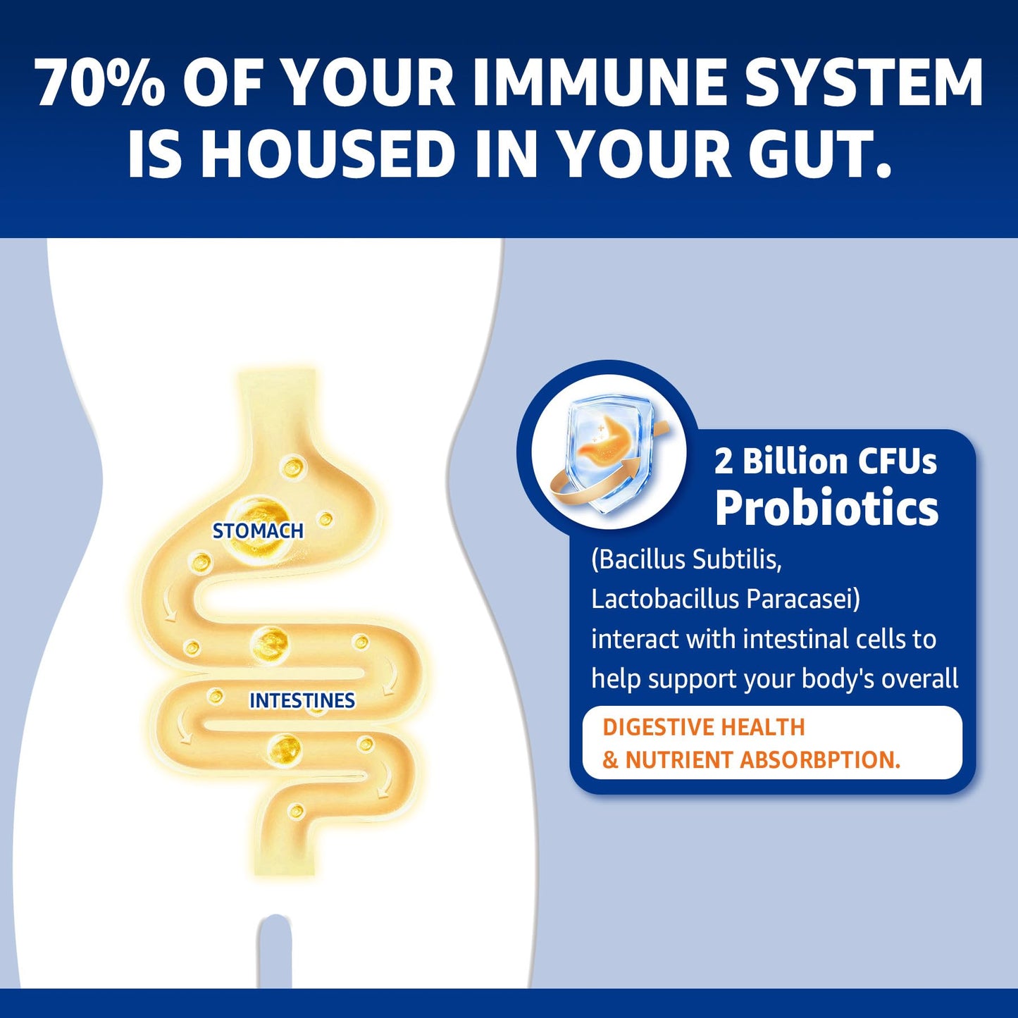 NEVISS Zinc Picolinate Gummies with Copper + Probiotics, Vitamin B6 for Max Absorption, Vegan, 120 Gummies