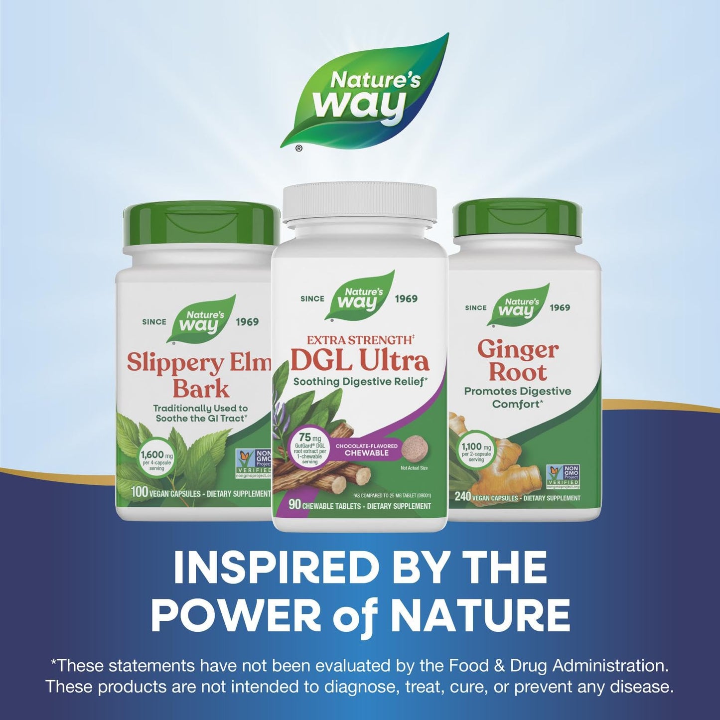 Nature's Way Premium Extract DGL Ultra Tablet, 90 Count