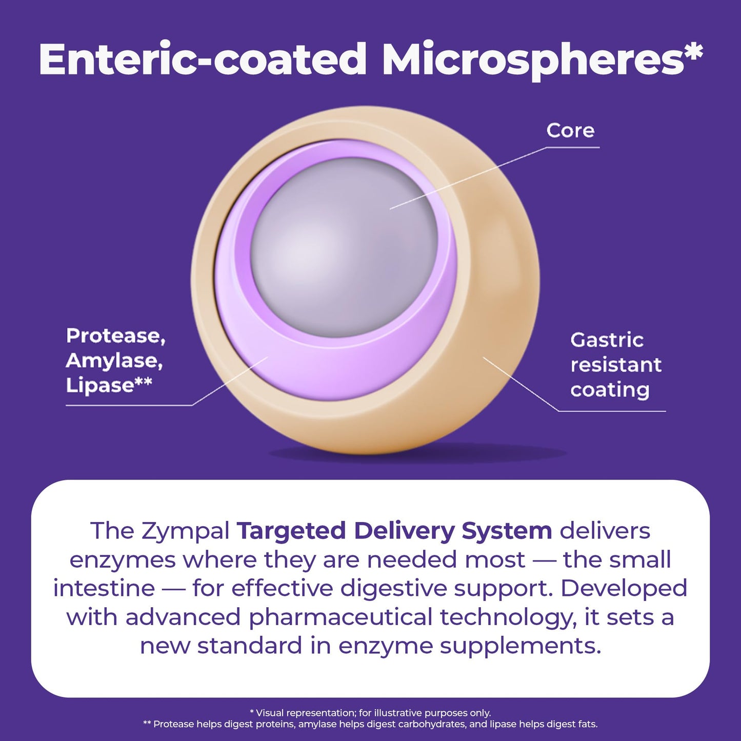 ZYMPAL Pancreatic Digestive Enzymes High-Potency Pancreatic Digestive Enzyme Supplement 10,000 Lipase USP Units Capsules 50
