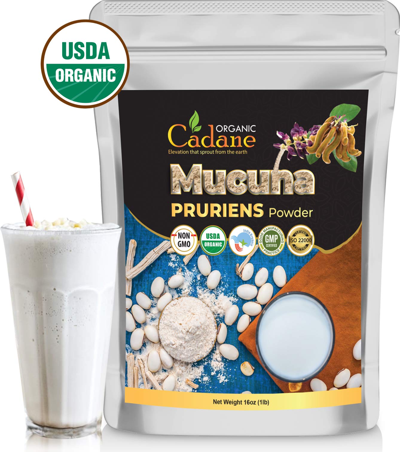 Organic Cadane Mucuna Pruriens Powder 1 Pound
