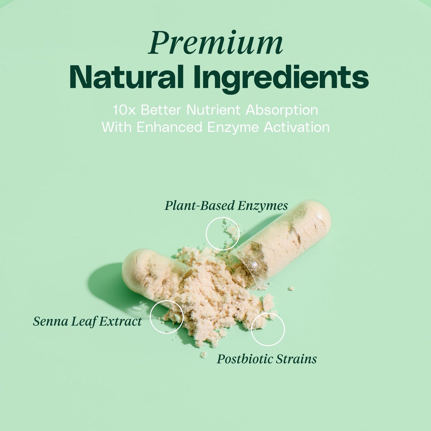 Mineral Moon Innerspace Flora Premium Digestive Enzymes for Men and Women Capsules 90