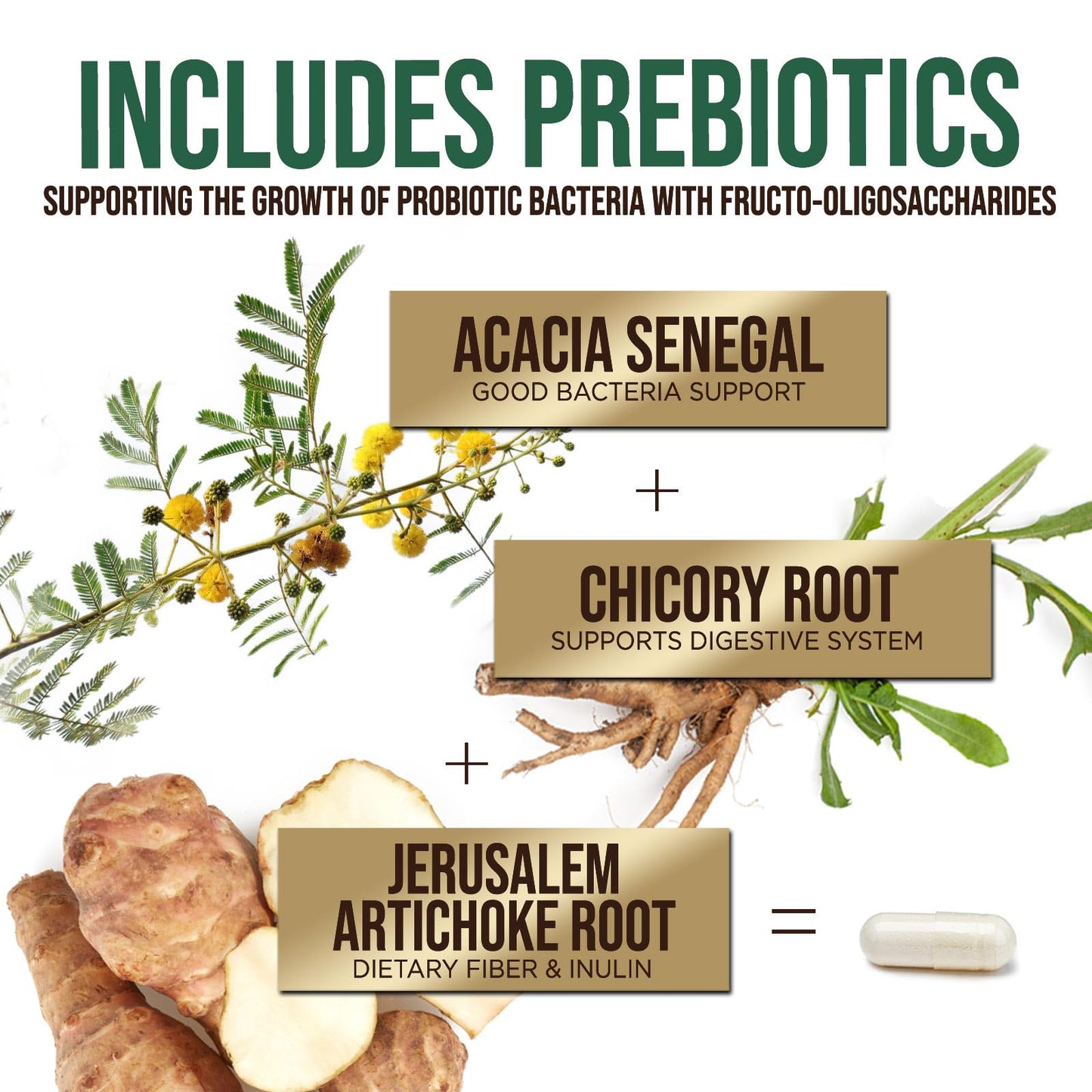 Health Nutrition Naturals Probiotics with 10 Strains + Prebiotics, 50 Billion CFU per Serving - Digestive Health & Immune Support, 120 Capsules