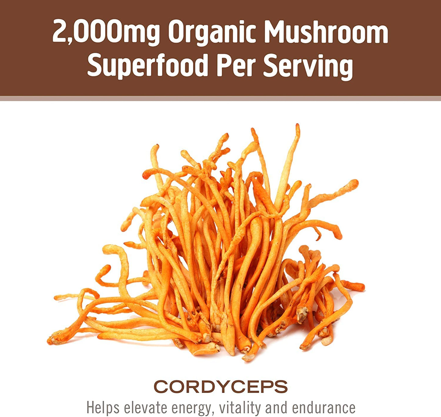 OM MUSHROOM SUPERFOOD Cordyceps Mushroom Capsules 90 Count
