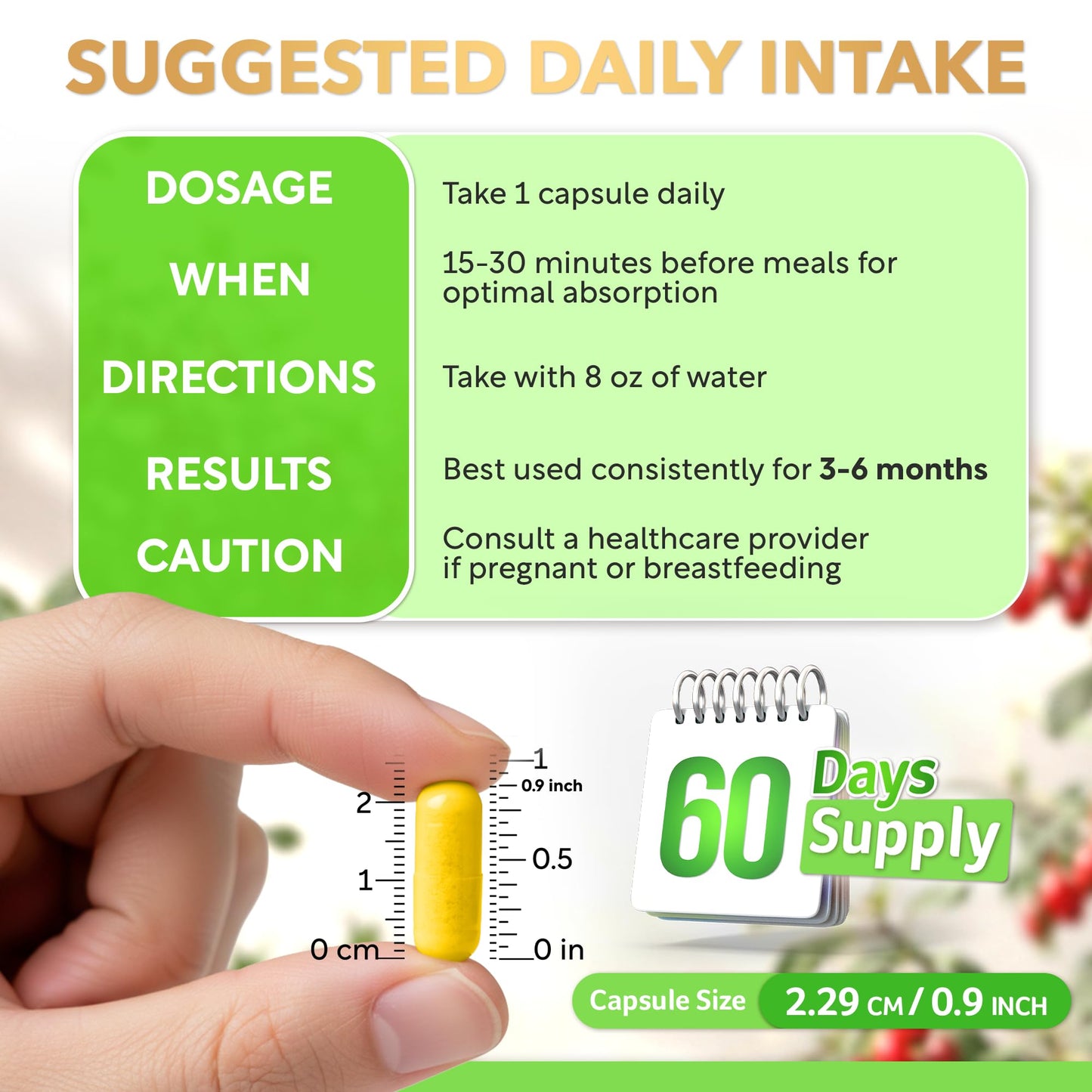 Dalnara Dihydroberberine 250mg Capsule 60 Count