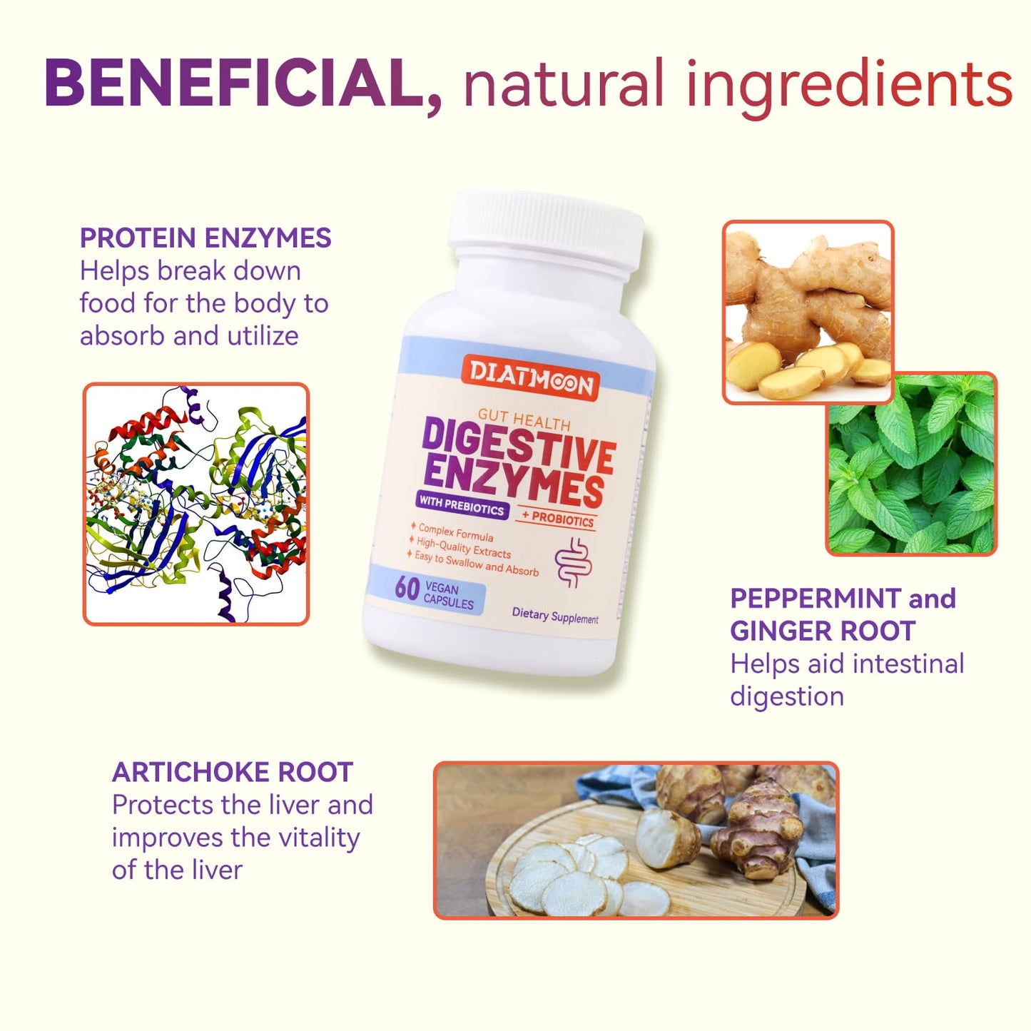 DIATMOON Digestive Enzymes with Probiotics and Prebiotics – Multi Enzymes for Better Digestion, Gut Health Support, 60 Capsules