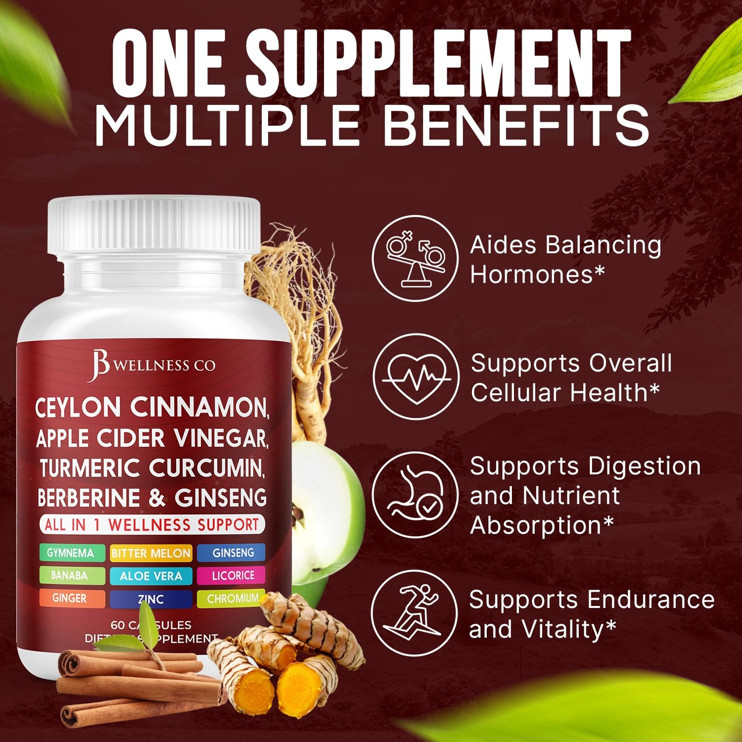 JB Wellness Co Ceylon Cinnamon Turmeric ACV Ginseng Aloe Vera Berberine Plus Banaba Ginger Root Capsules, 60 Count