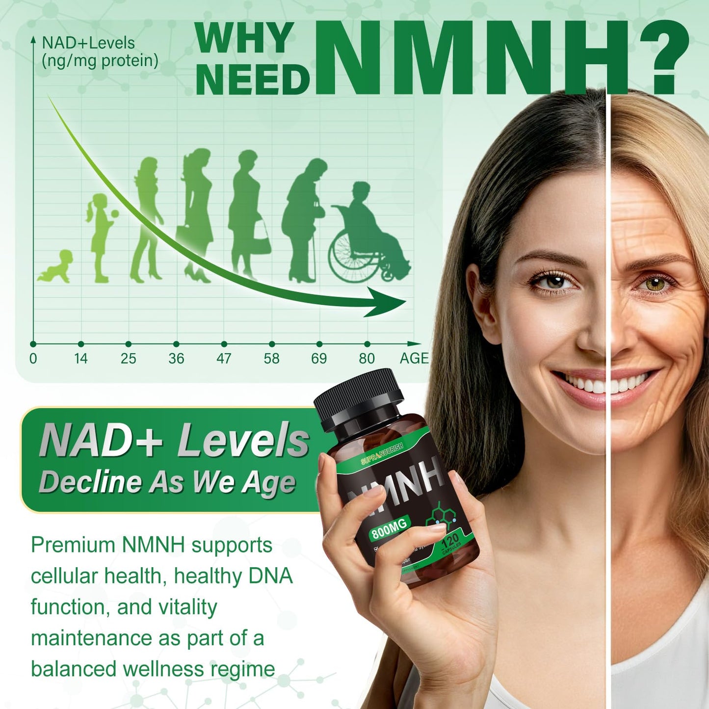SUPRANOURISH NMNH Supplement (Dihydronicotinamide Mononucleotide) 800mg per Serving, 240 Capsules