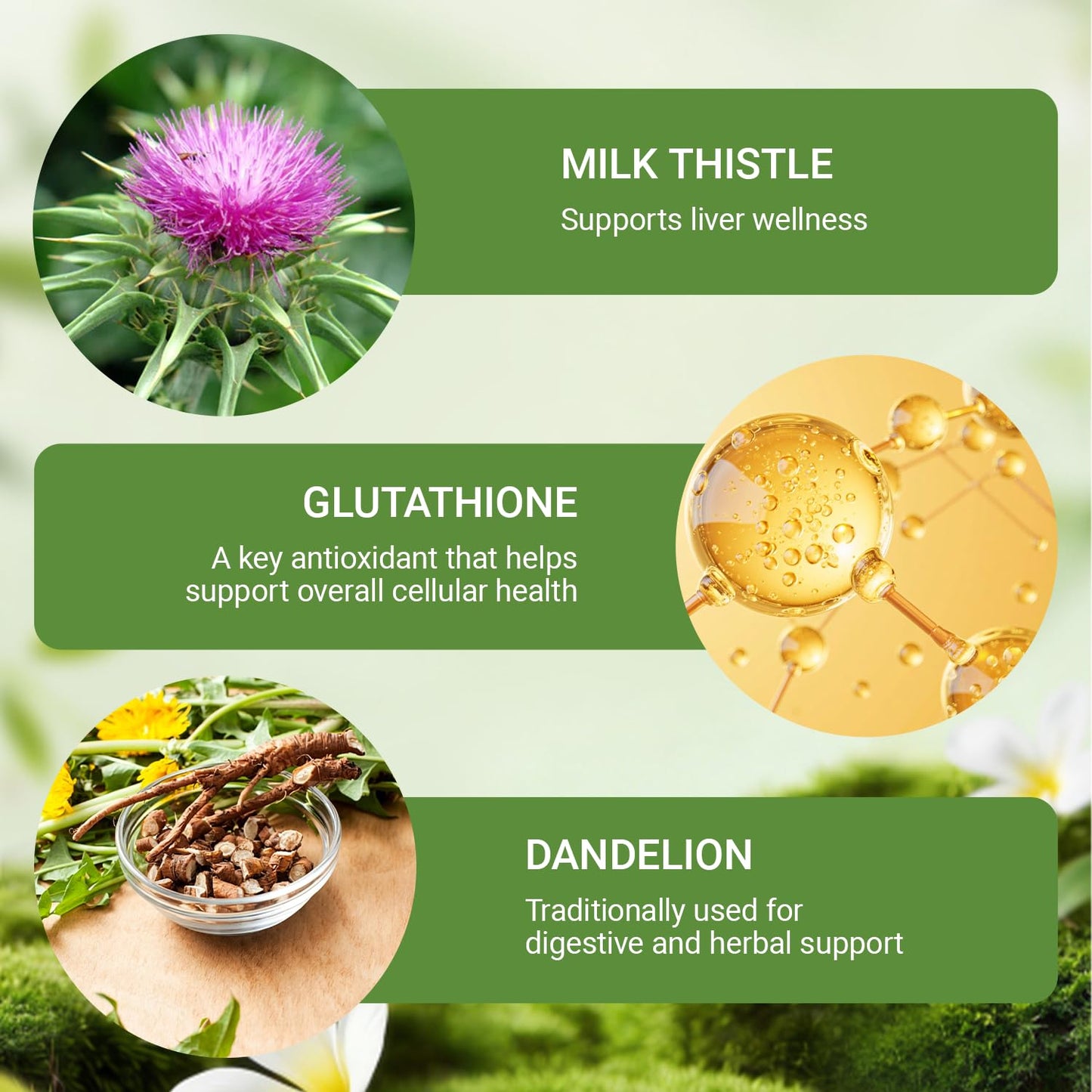 ZOVOST Purelia Liver Restore Drops with Milk Thistle Gummy, 2-Count, 2 oz