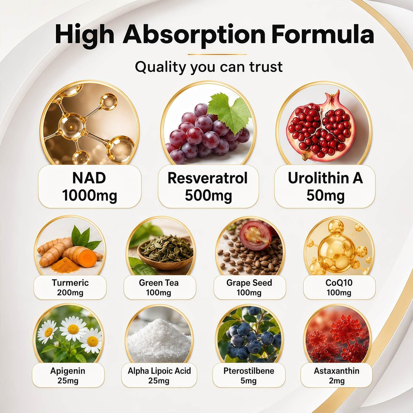 FOUNTIVA Liposomal NAD Supplement 10,707mg Extra Strength NMN Alternative Capsule, 120 Count
