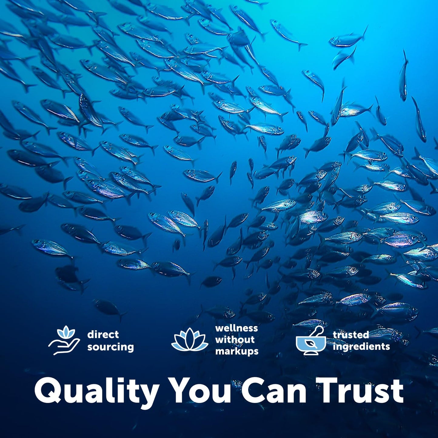 Micro Ingredients Omega-3 Fish Oil Triple Strength Softgel 240