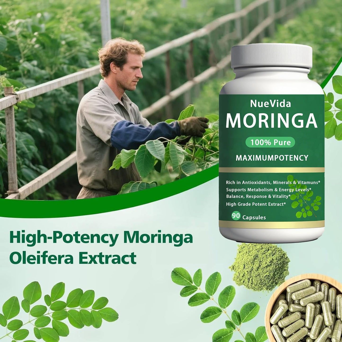 Megacephalus Cortivia Pure Moringa Capsules, 90 Capsules