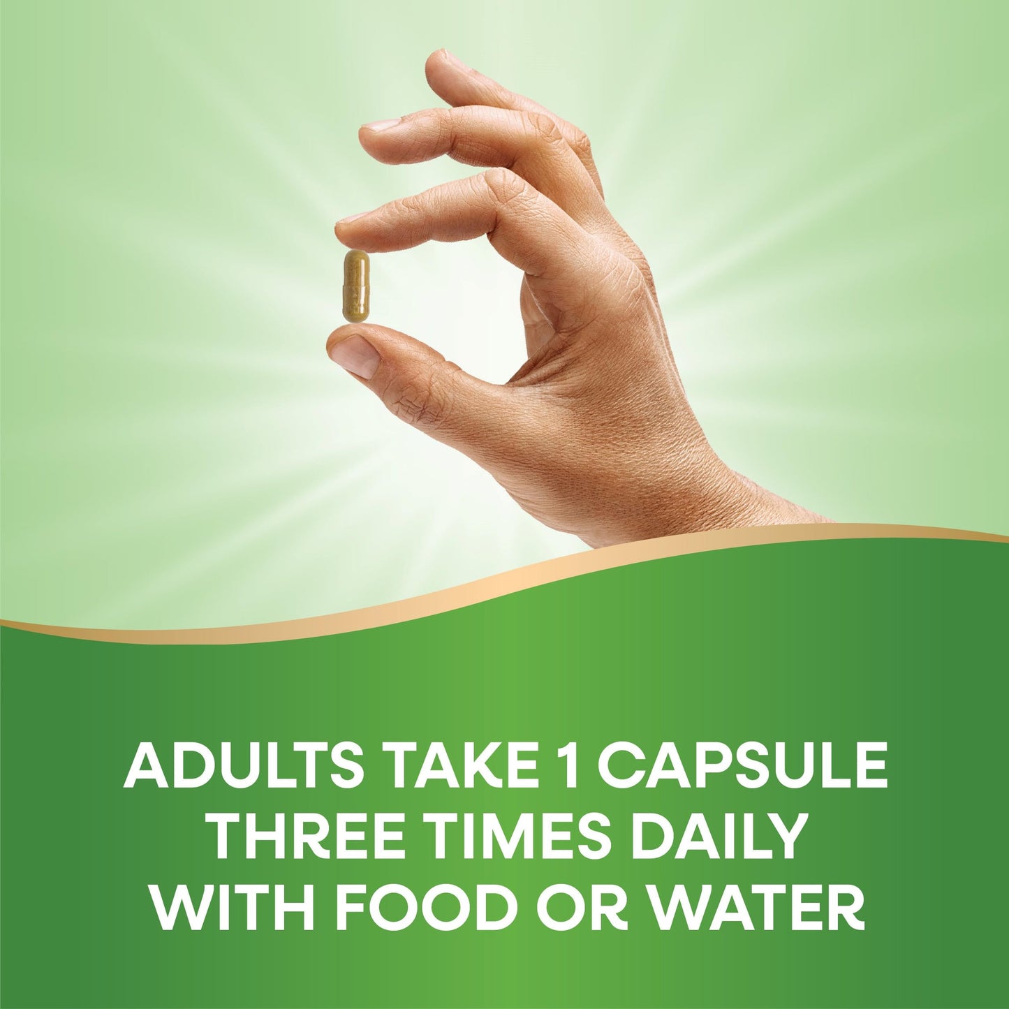 Nature's Way Milk Thistle 240 Capsules