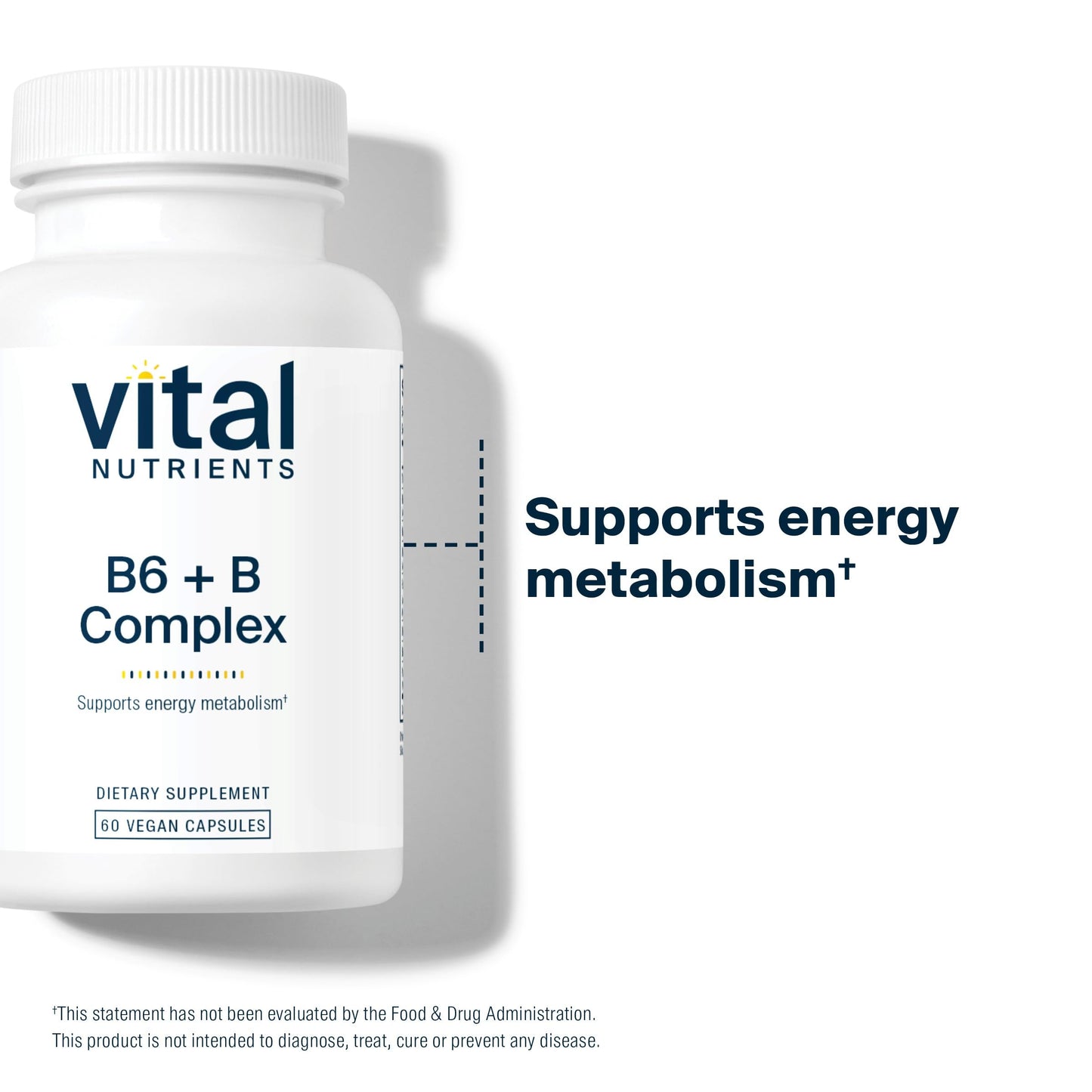 Vital Nutrients Vitamin B6 + B Complex, Vegan Methylated B Vitamins for Energy, Metabolism, Heart Health, Capsules, 60 Count