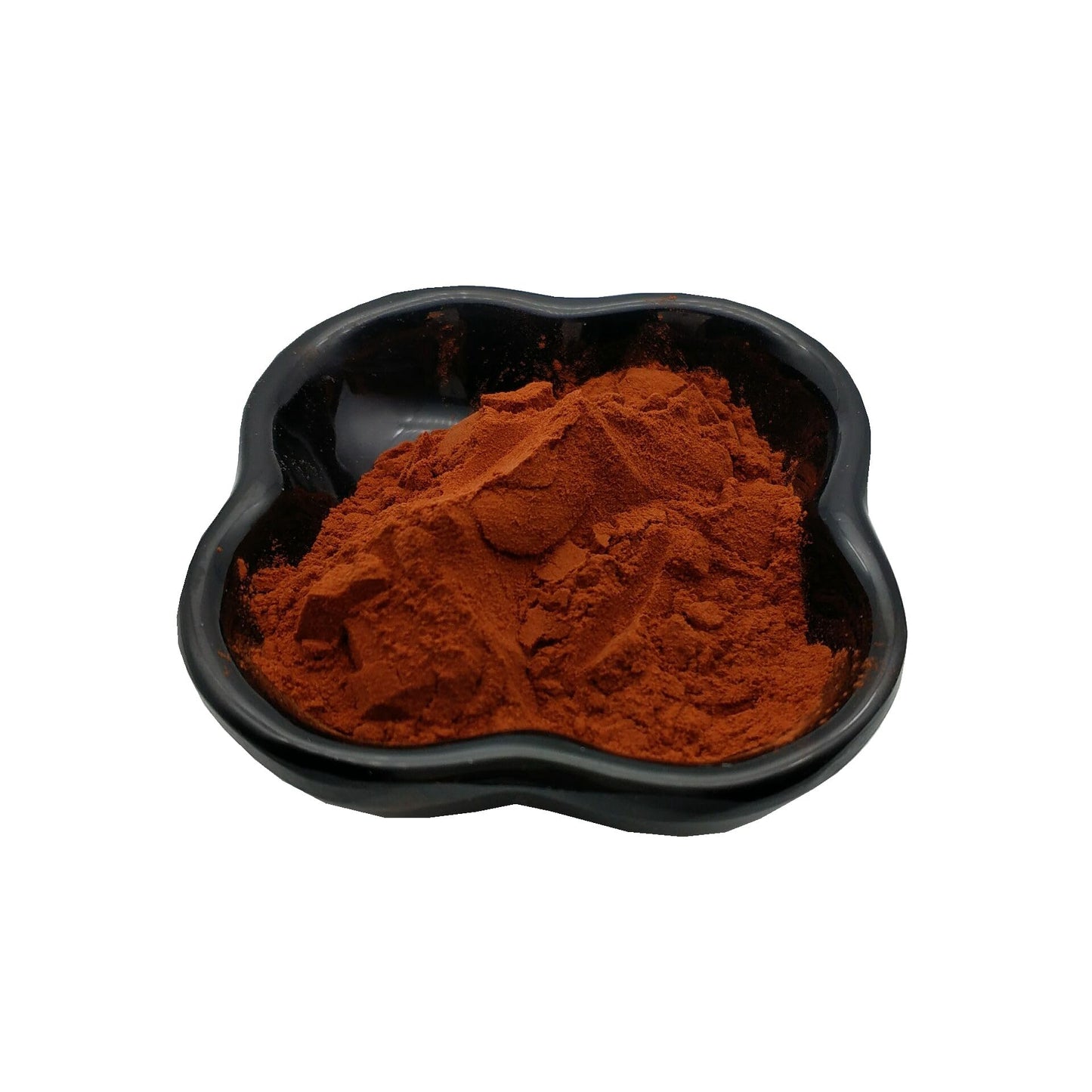 Bright sunlight Maritime Pine Bark Extract Powder 95% OPC Pure Antioxidant, 16 Ounces