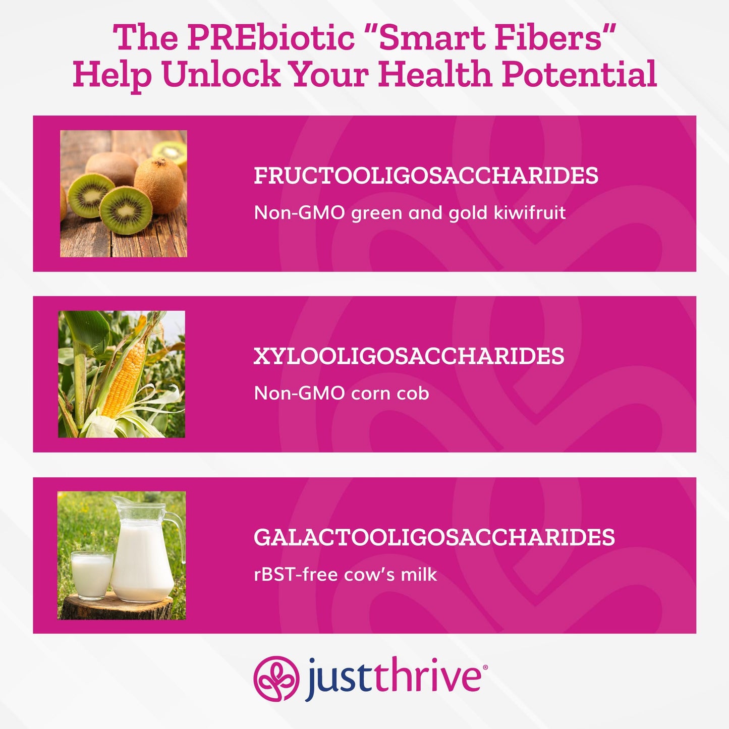 Just Thrive PREbiotic Powder - Digestive and Immune Support Supplement, 150 g