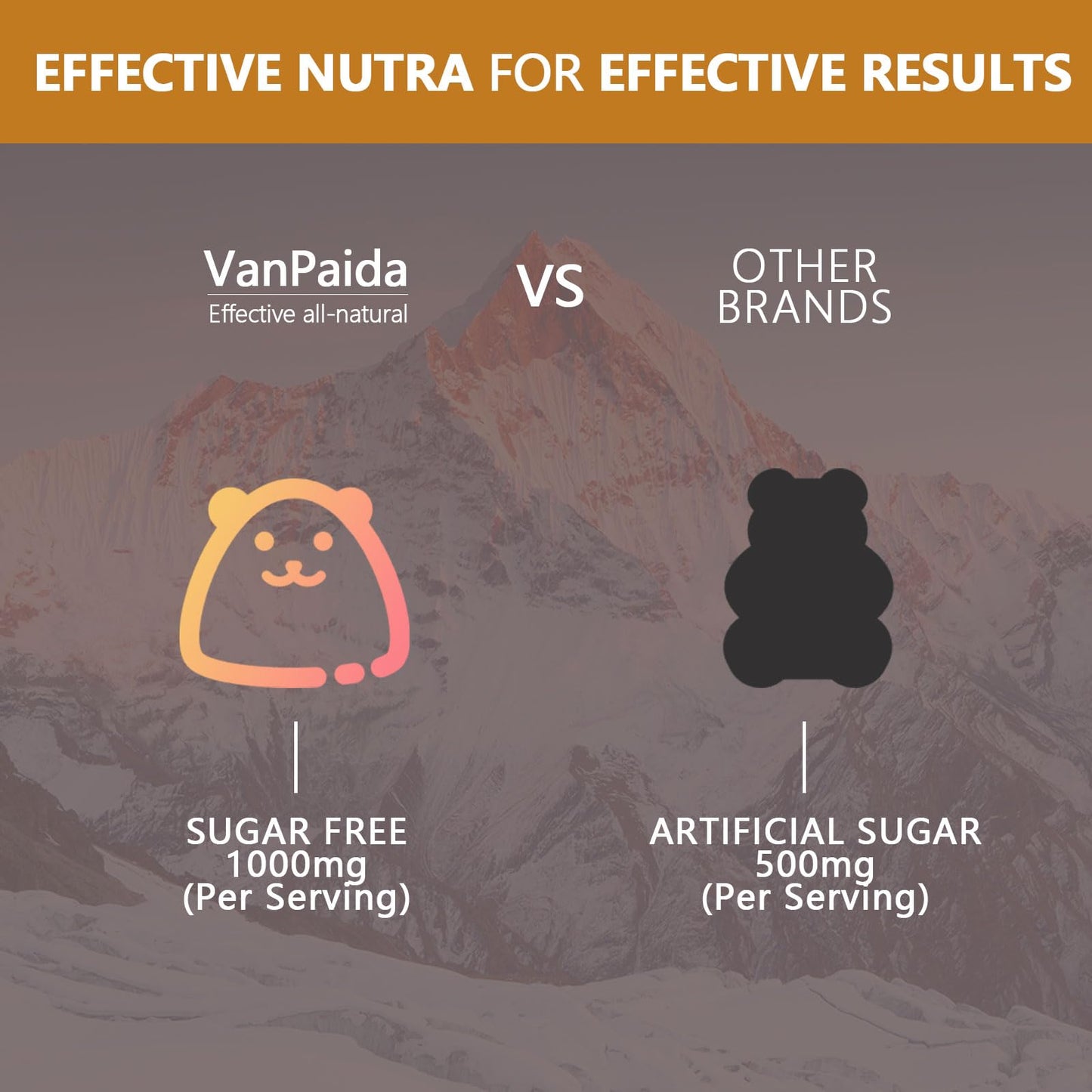 Van Paida Sugar Free Shilajit 60 Gummies