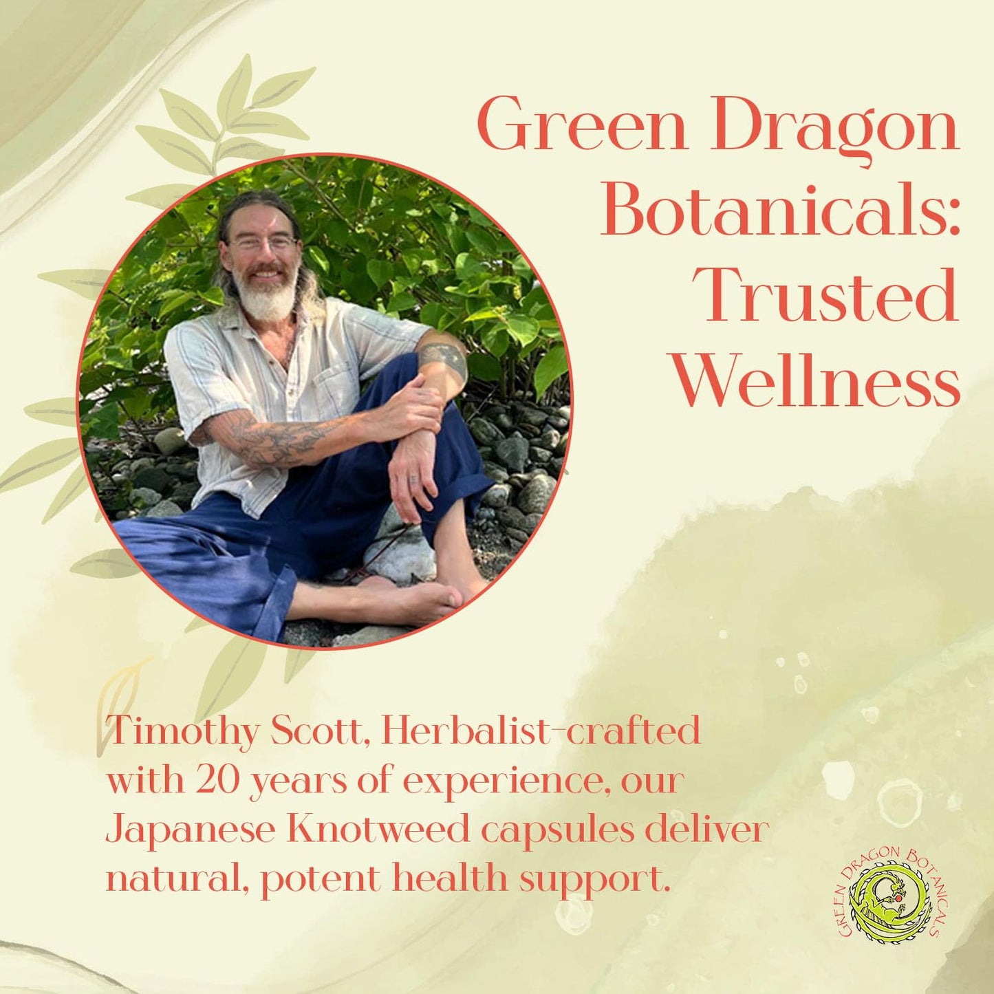 Green Dragon Botanicals Japanese Knotweed Capsule 100 Capsules
