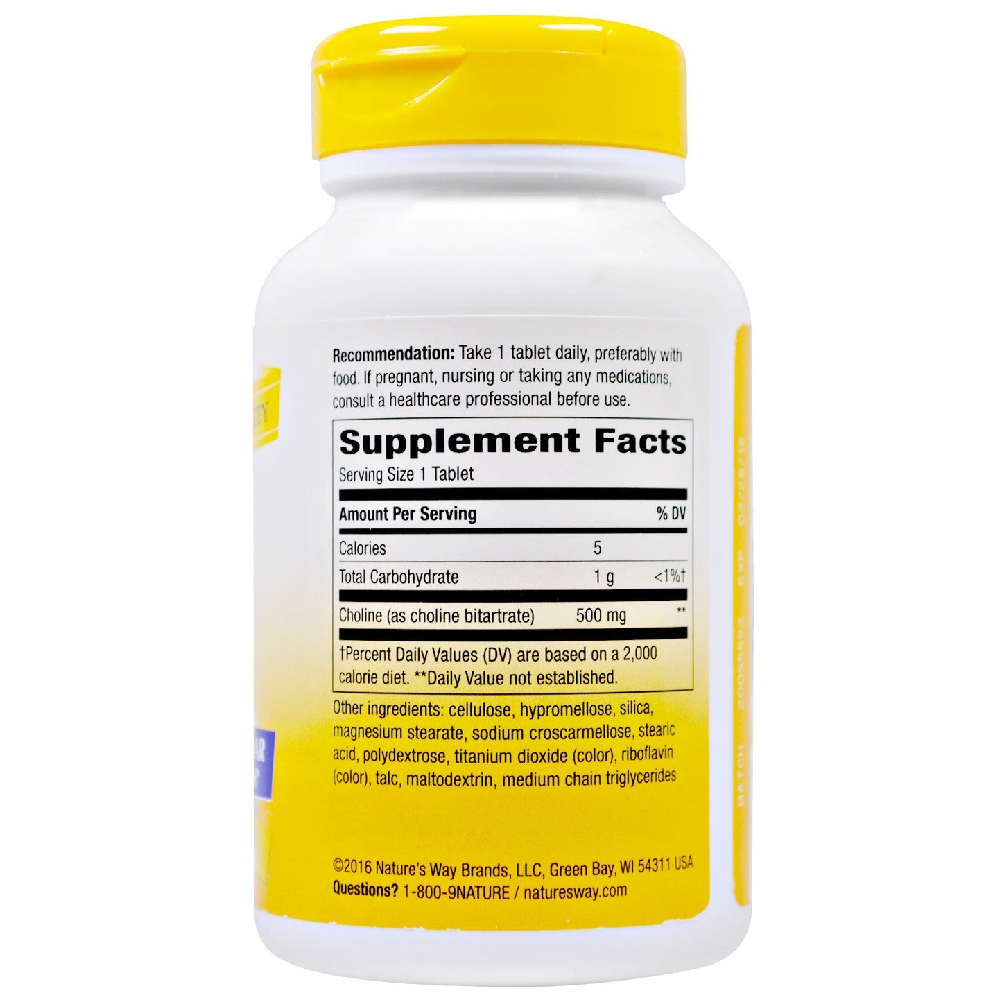 Nature's Way Choline Tablet, 100 Tablets