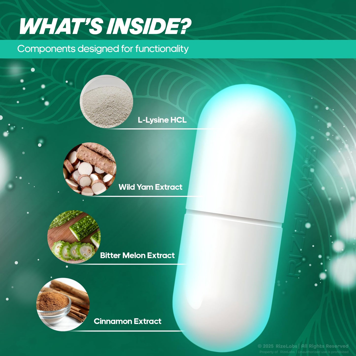 Rize Labs Neuro Zoom Capsule 120 Capsules
