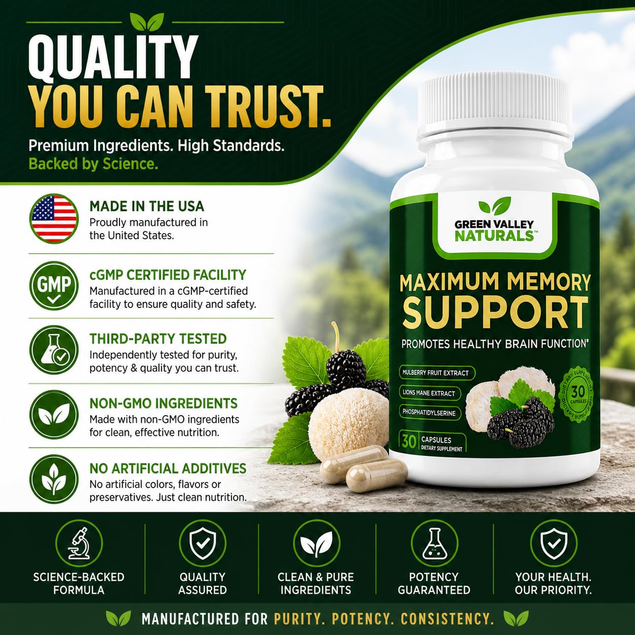 GREEN VALLEY NATURALS Maximum Memory Support Capsules 30
