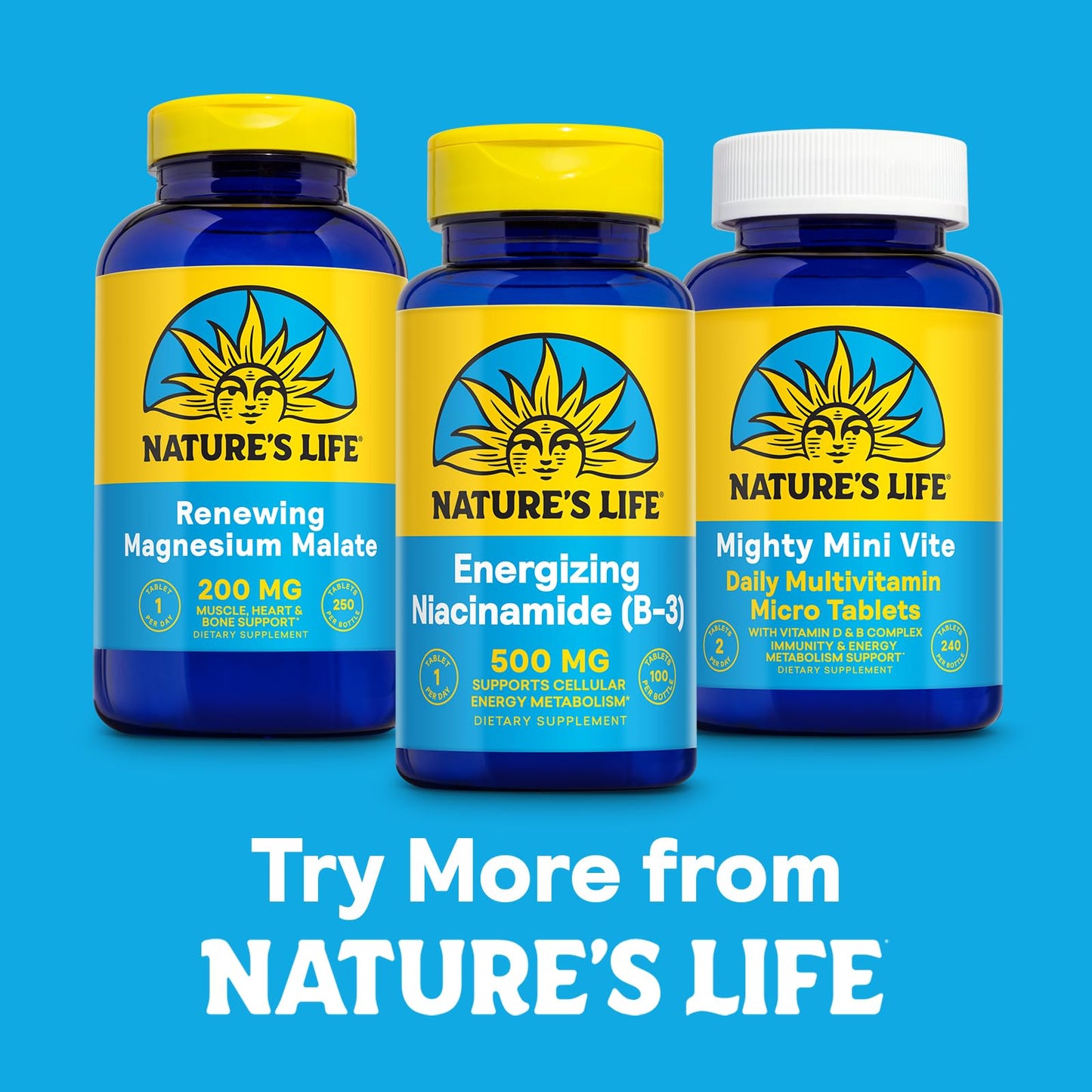 Nature's Life Energizing Niacinamide 500mg No-Flush Vitamin B3 Niacin Supplement Nerve Function Metabolism and Healthy Energy Support 100 Tablets