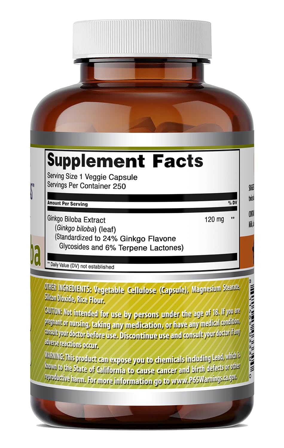Amazing Nutrition Ginkgo Biloba 120 mg Capsules, 250 Count