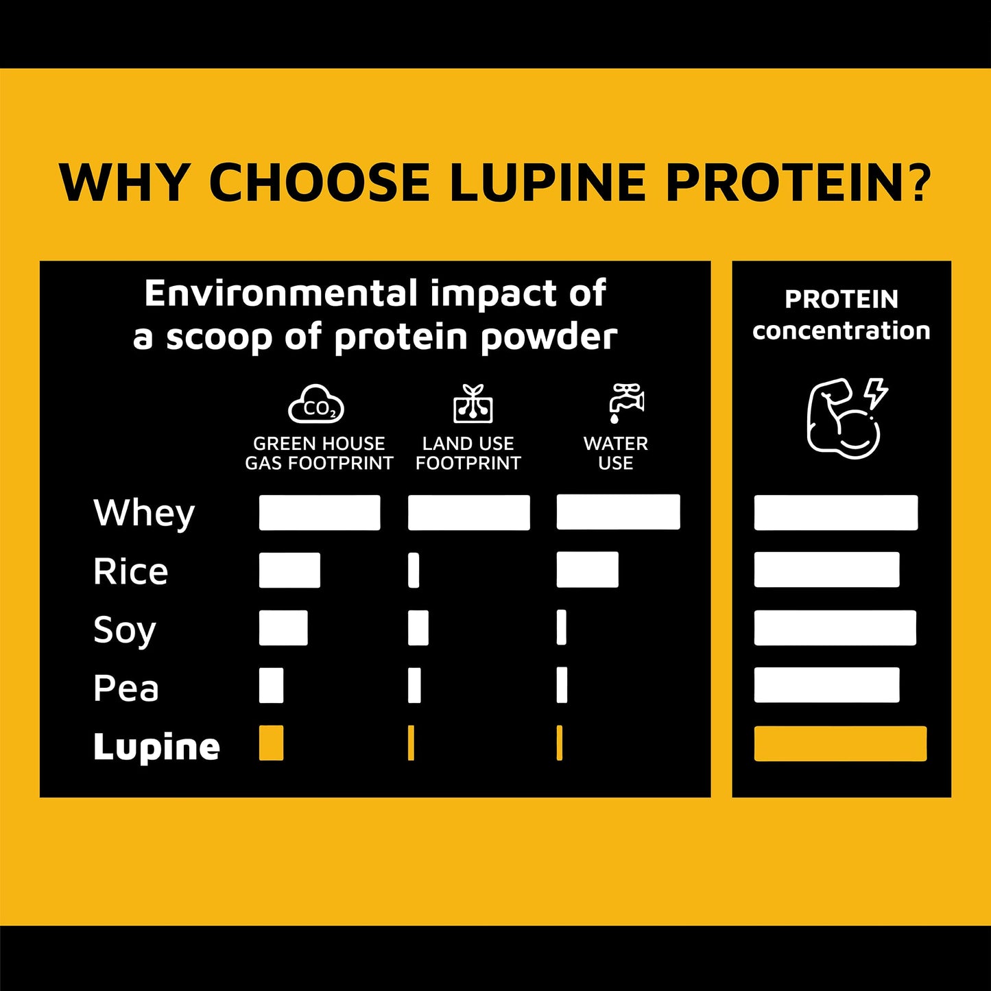 PROTE & CO Lupin Protein Powder, 1.63 lb