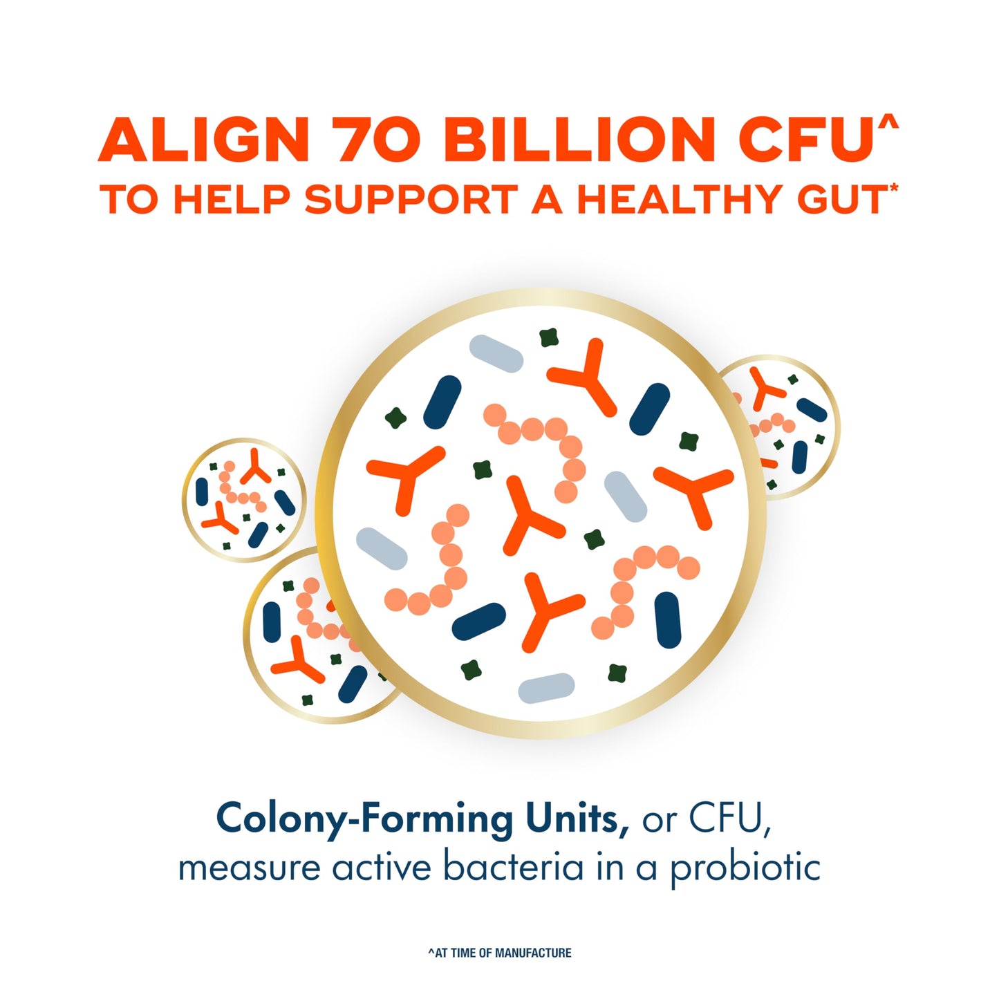 Align Probiotic 70 Billion CFU 6 Strain Blend Capsule 30