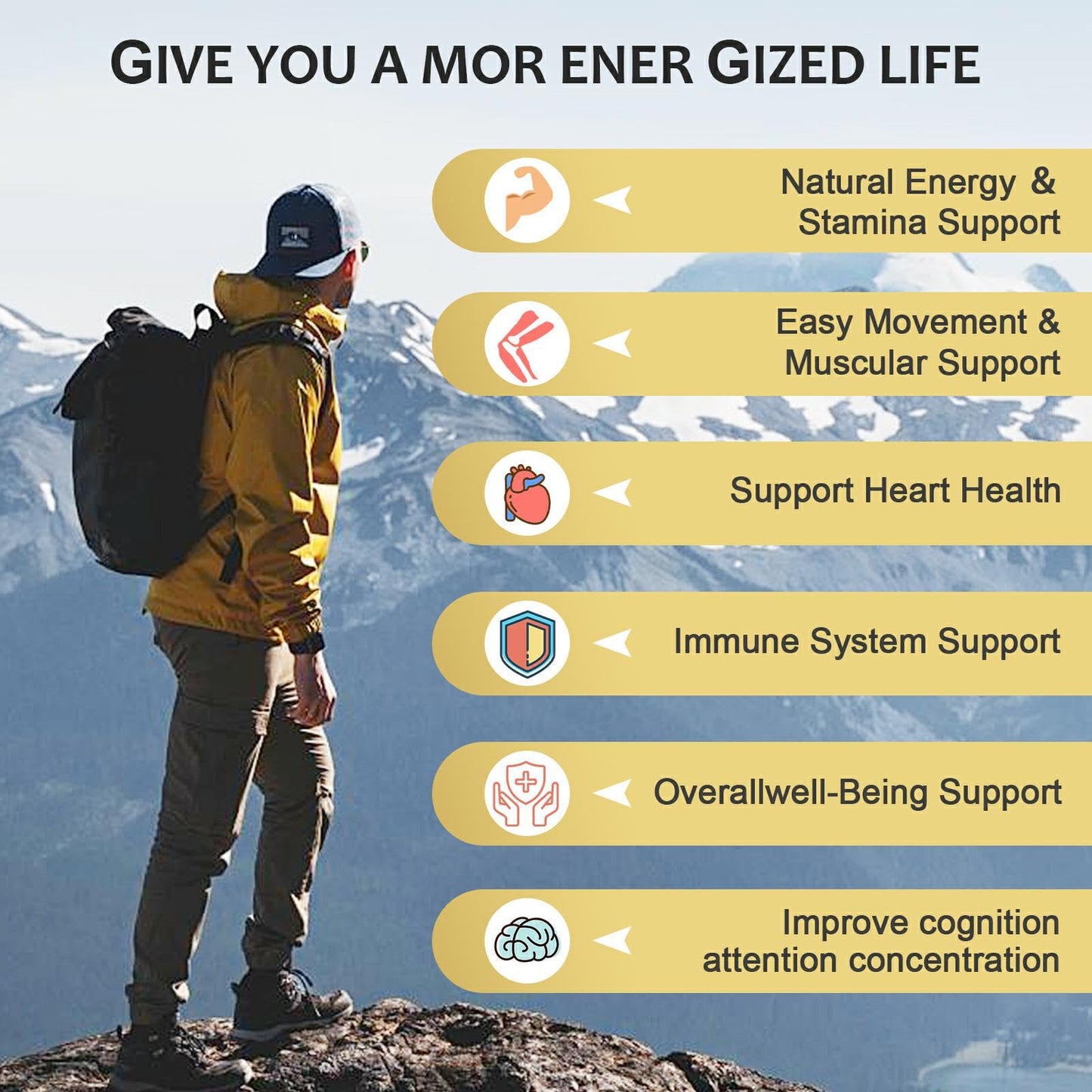 OMOGS Shilajit Capsule 1 Count
