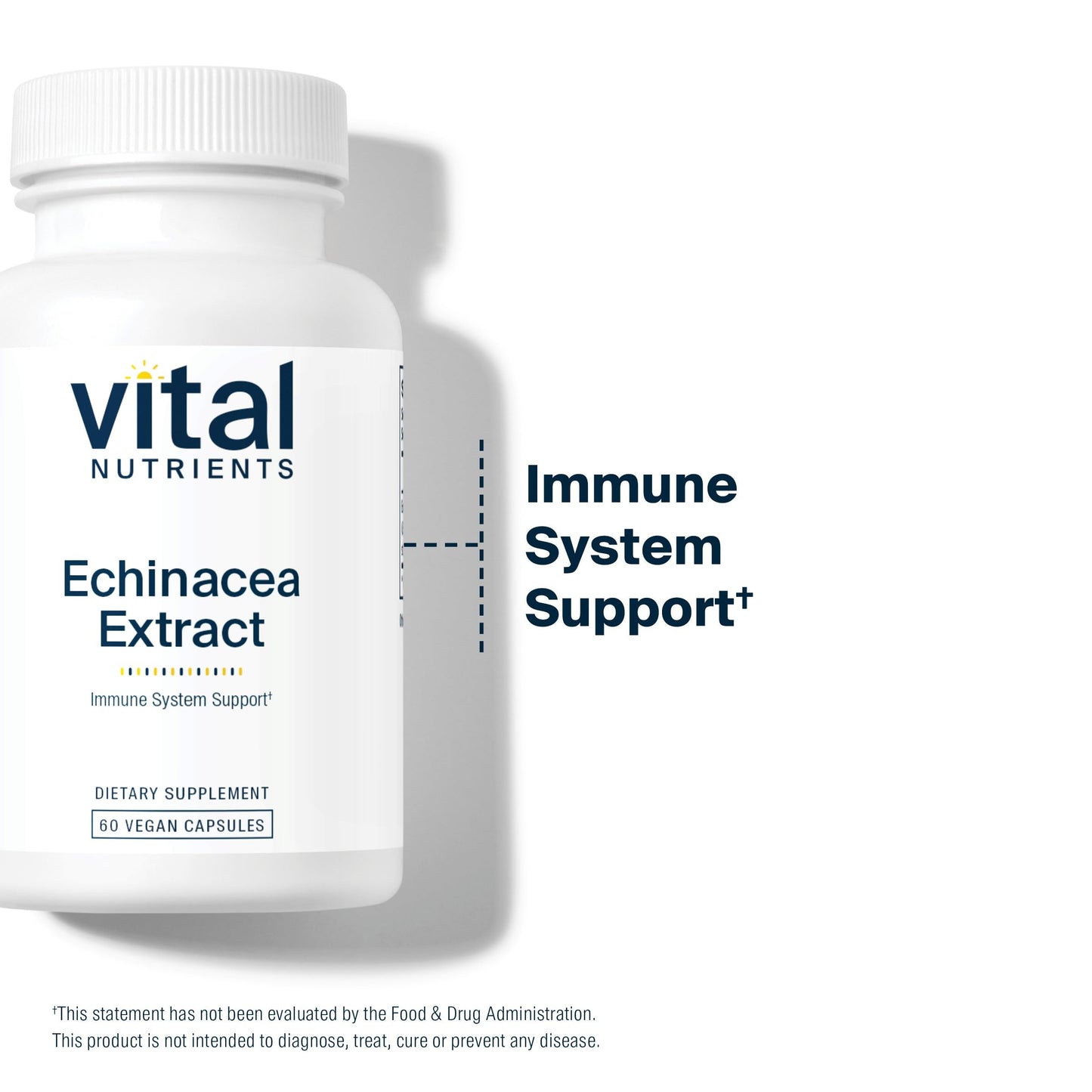 Vital Nutrients Echinacea Extract 1000mg Capsules, 30 Capsules