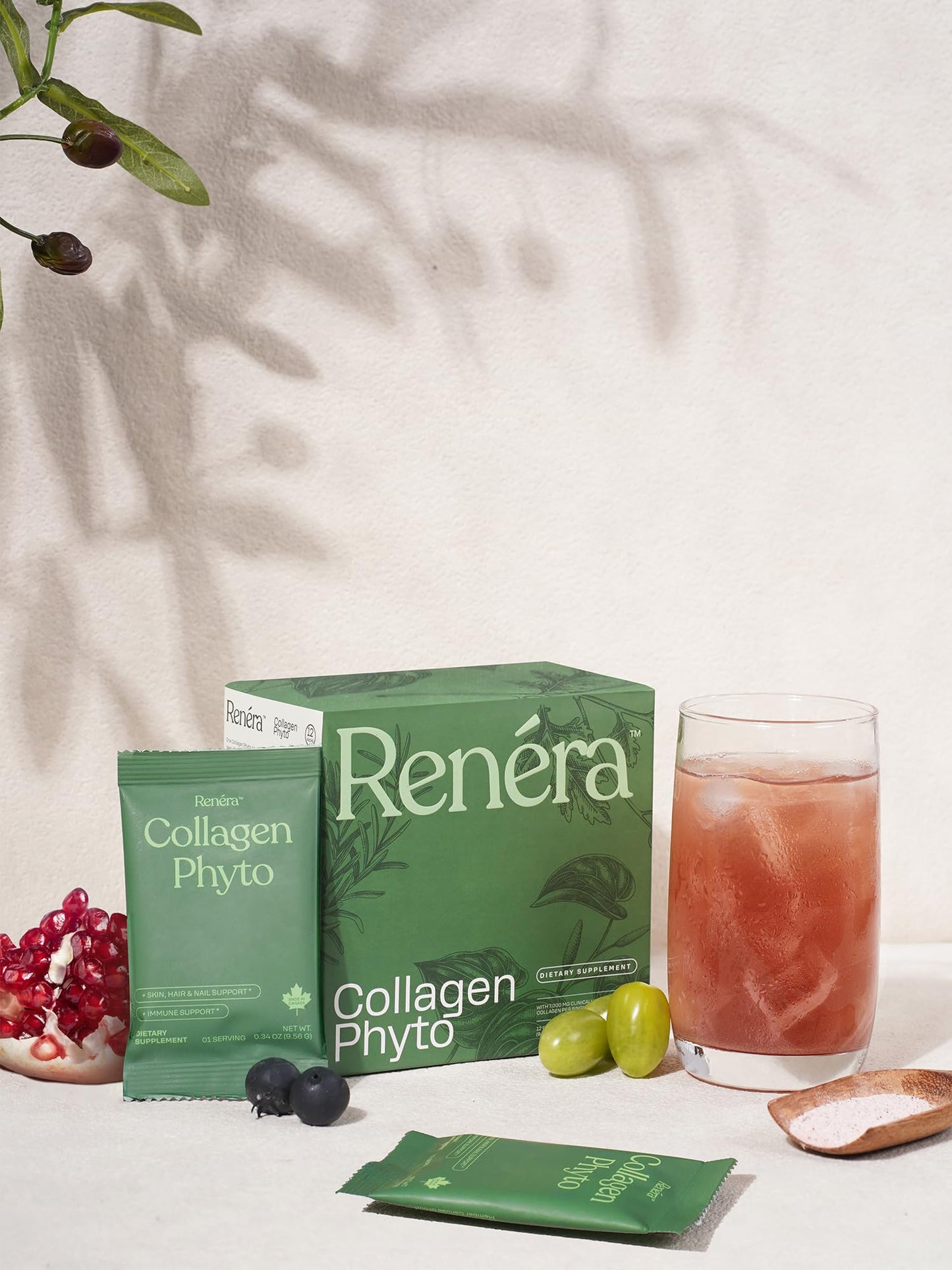 Renéra Collagen Phyto Powder with Marine Collagen Peptides & Postbiotic, Clinically Studied Ingredients for Healthy Skin, Hair, Nails and Immunity, Healthy Aging Support, 12 Packets