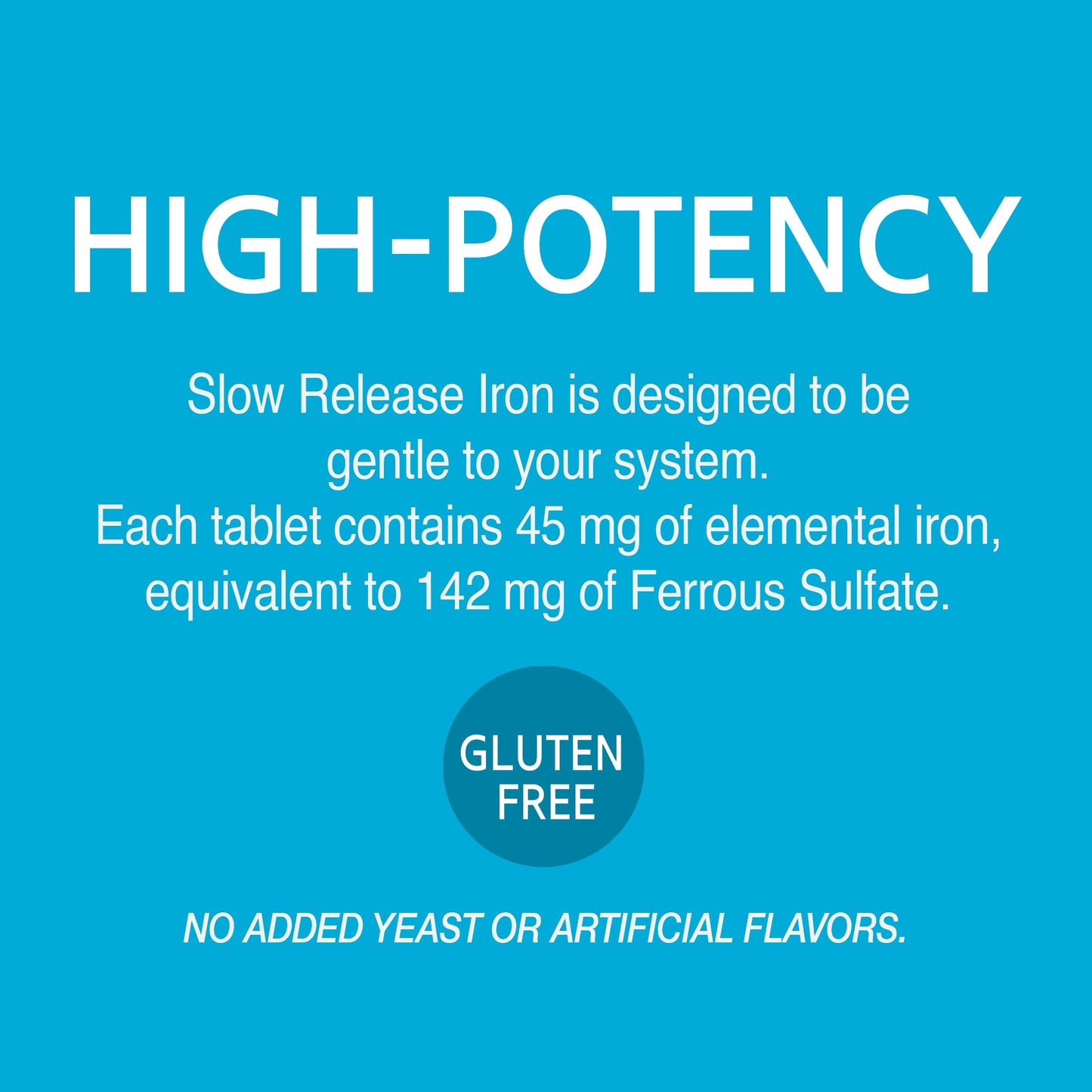21st Century Slow Release Iron 360 Tablets