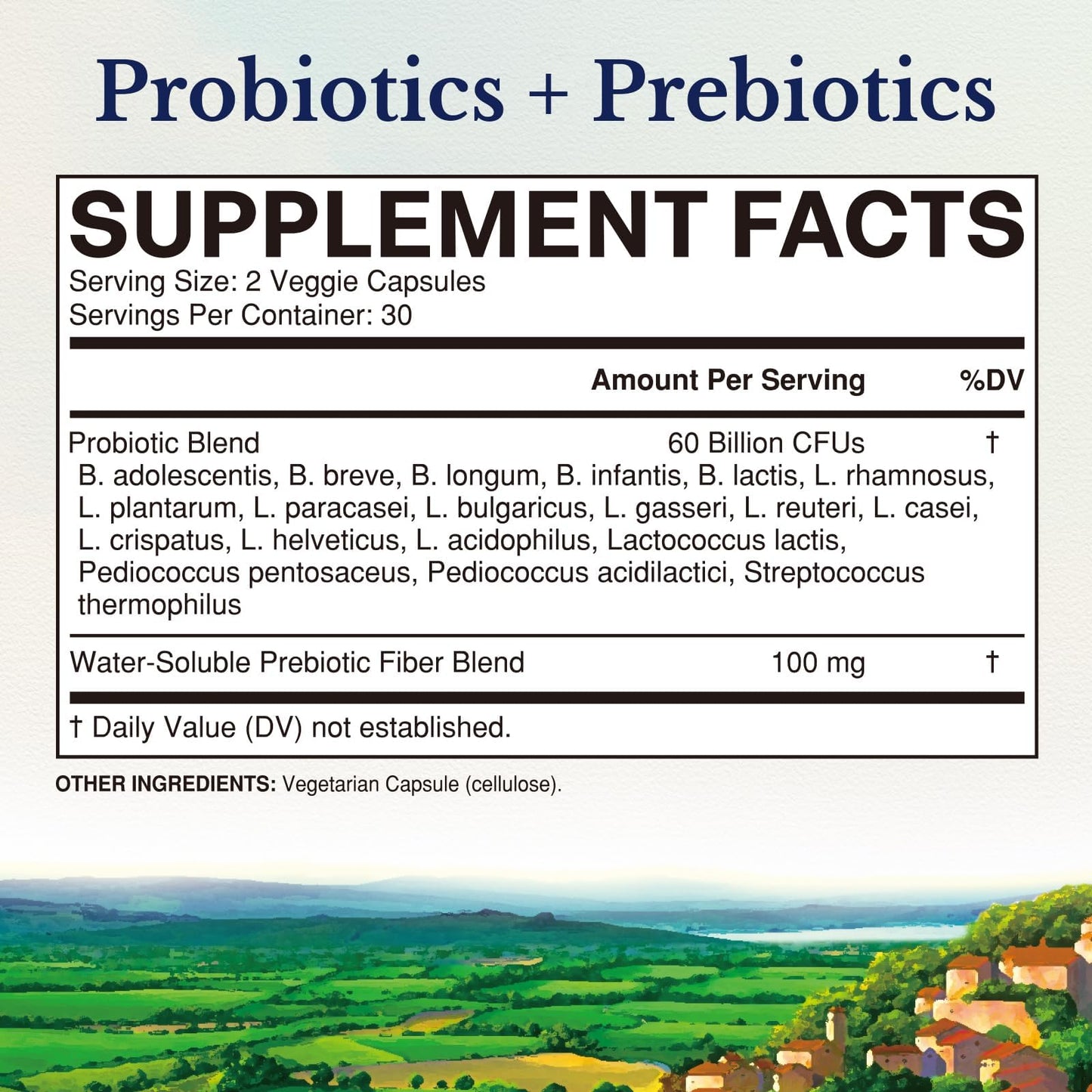 Vitalitown Probiotics + Prebiotics 60 Billion CFUs 19 Strains Capsule 60 Count