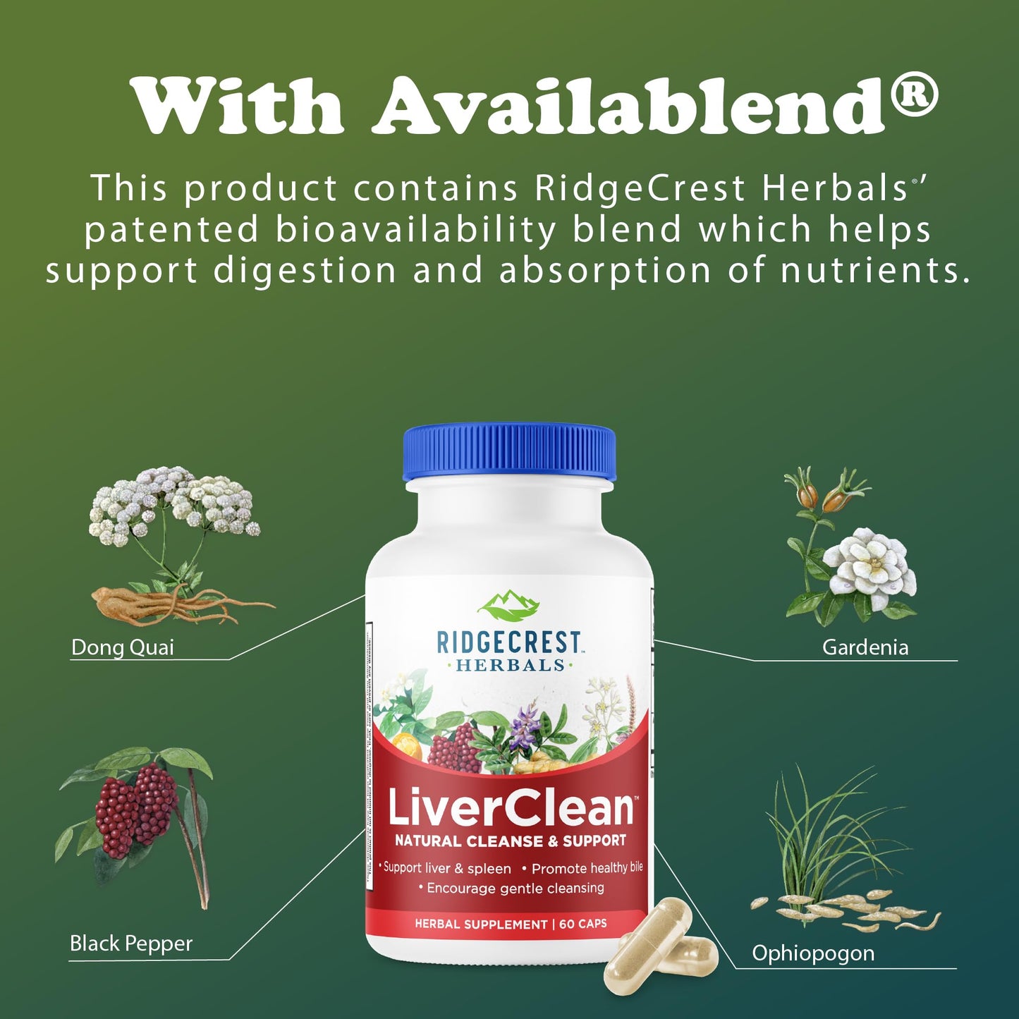 RidgeCrest Herbals LiverClean Herbal Liver Support Formula 60 Capsules