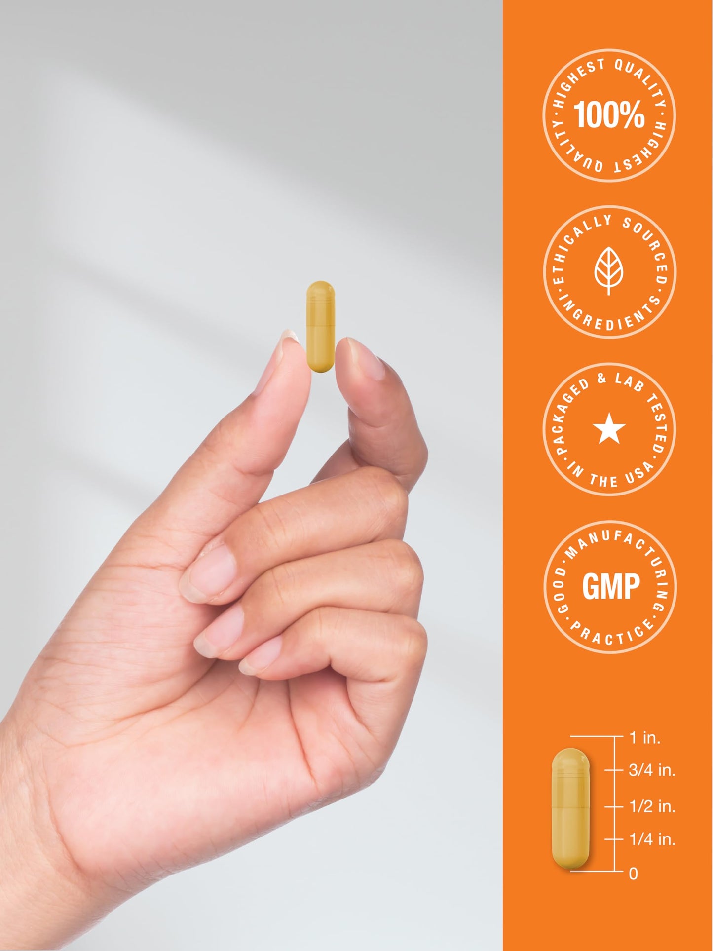 Horbäach B-100 Complex Vitamin 60 Capsules