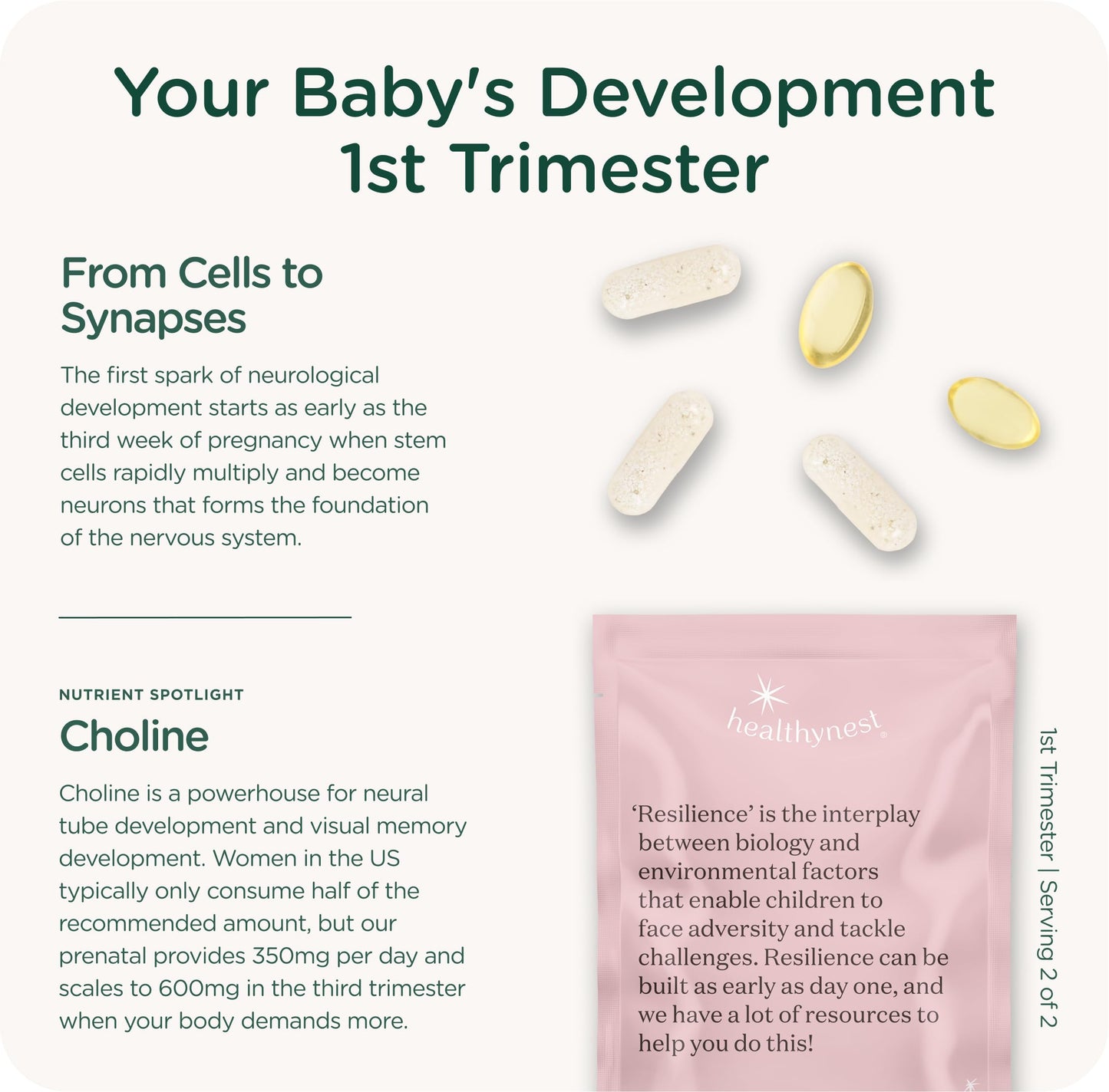 Healthybaby HealthyNest Preconception & 1st Trimester Prenatal Vitamin Softgel, 31 Count