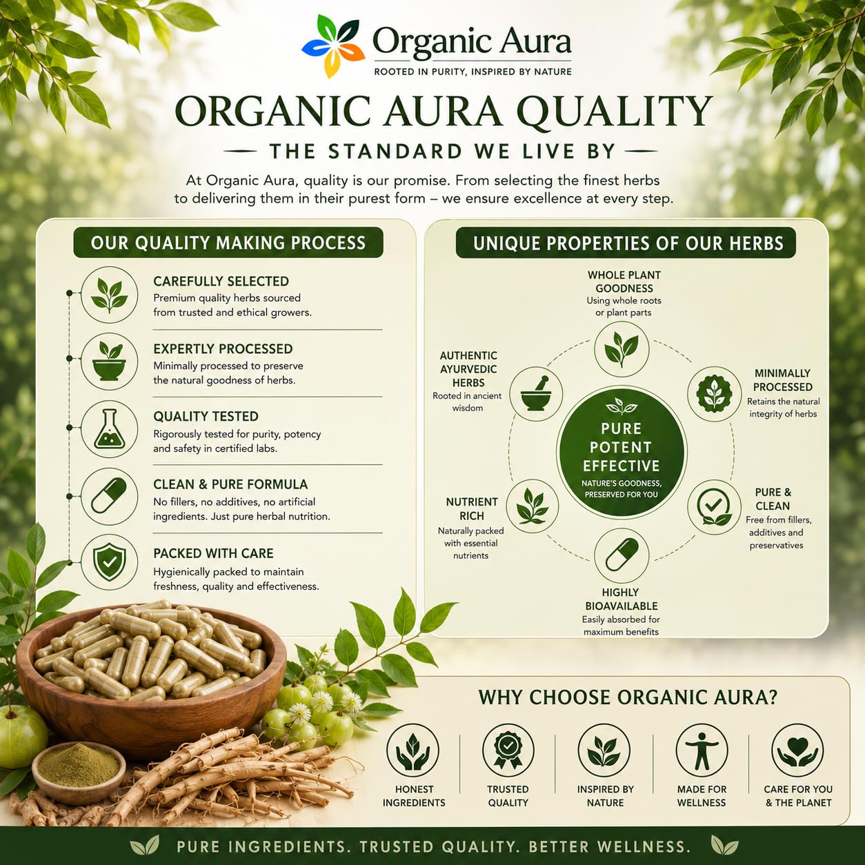 Organic Aura International Premium Triphala Capsules 120 Capsules
