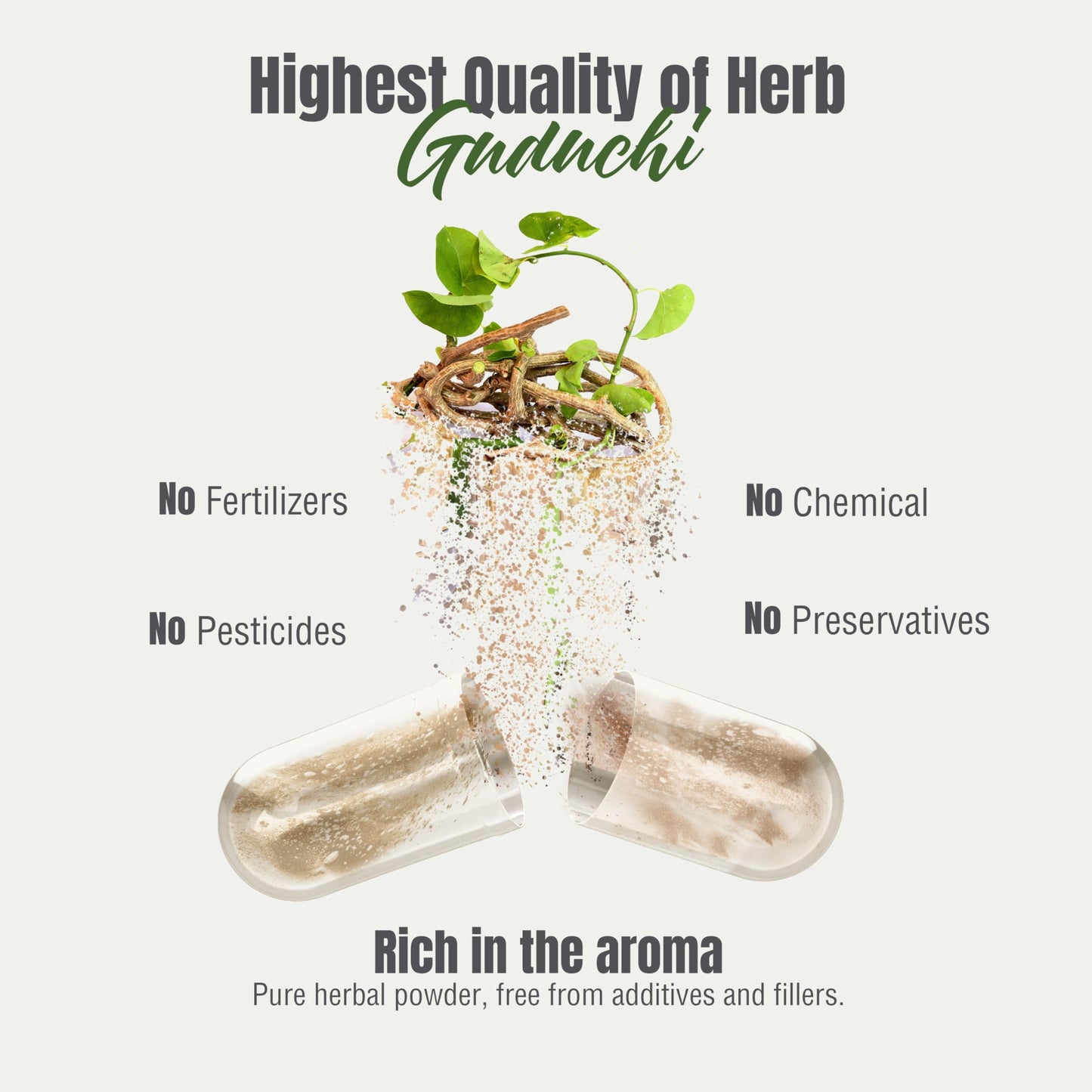 Herbsforever Guduchi (Tinospora cordifolia) Extra Strength 10:1 Extract, 800mg per Serving, 90 Capsules