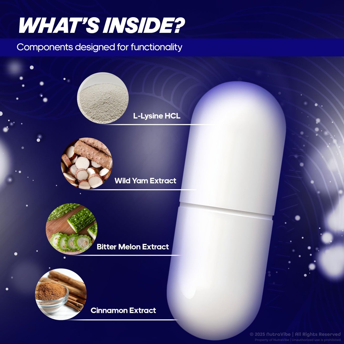 NutraVibe Memovita Memo Vita Master Formula Capsules, 60 Capsules