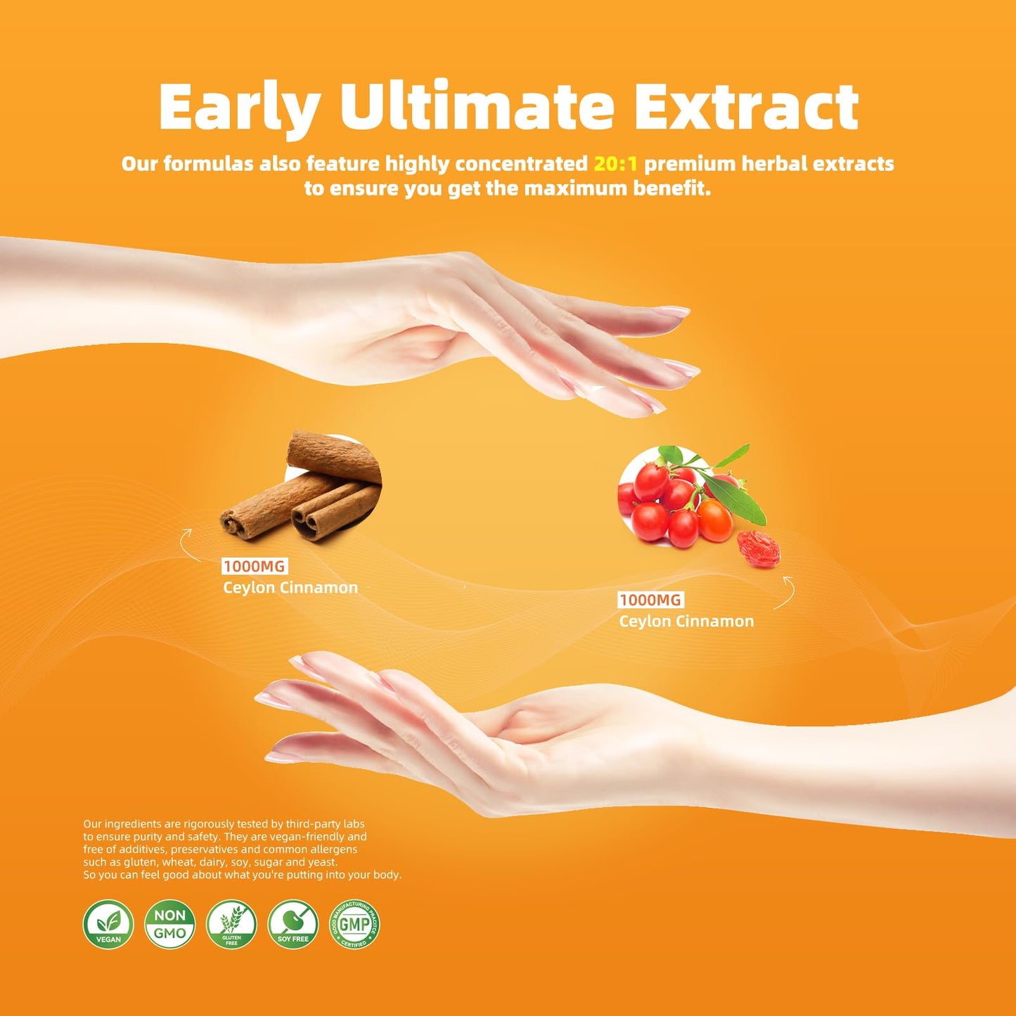 ElevateLife Berberine Supplement with True Ceylon Cinnamon, Berberine 1500mg Per Serving, 120 Capsules