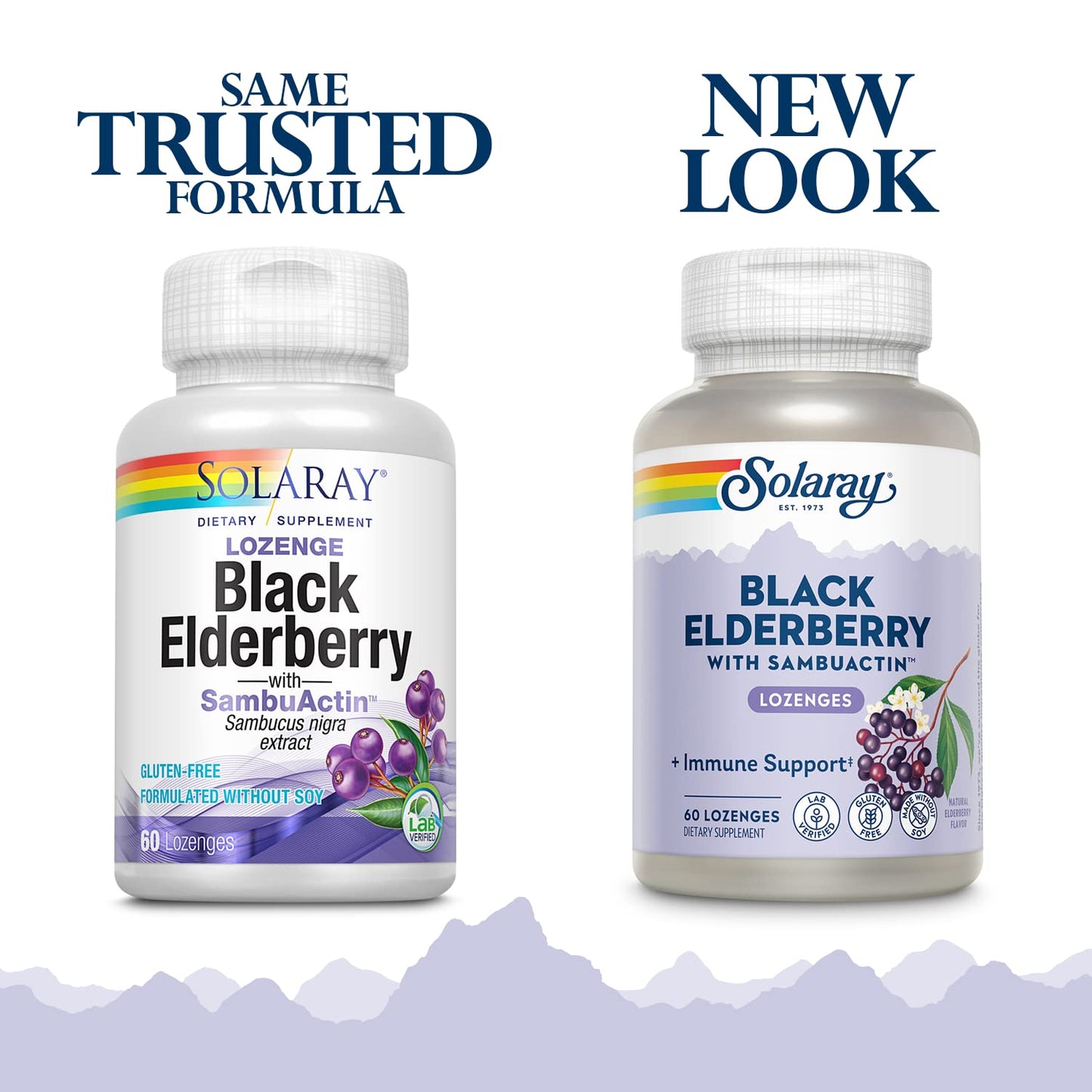Solaray Sambuactin Elderberry Extract Chewable 60 Count